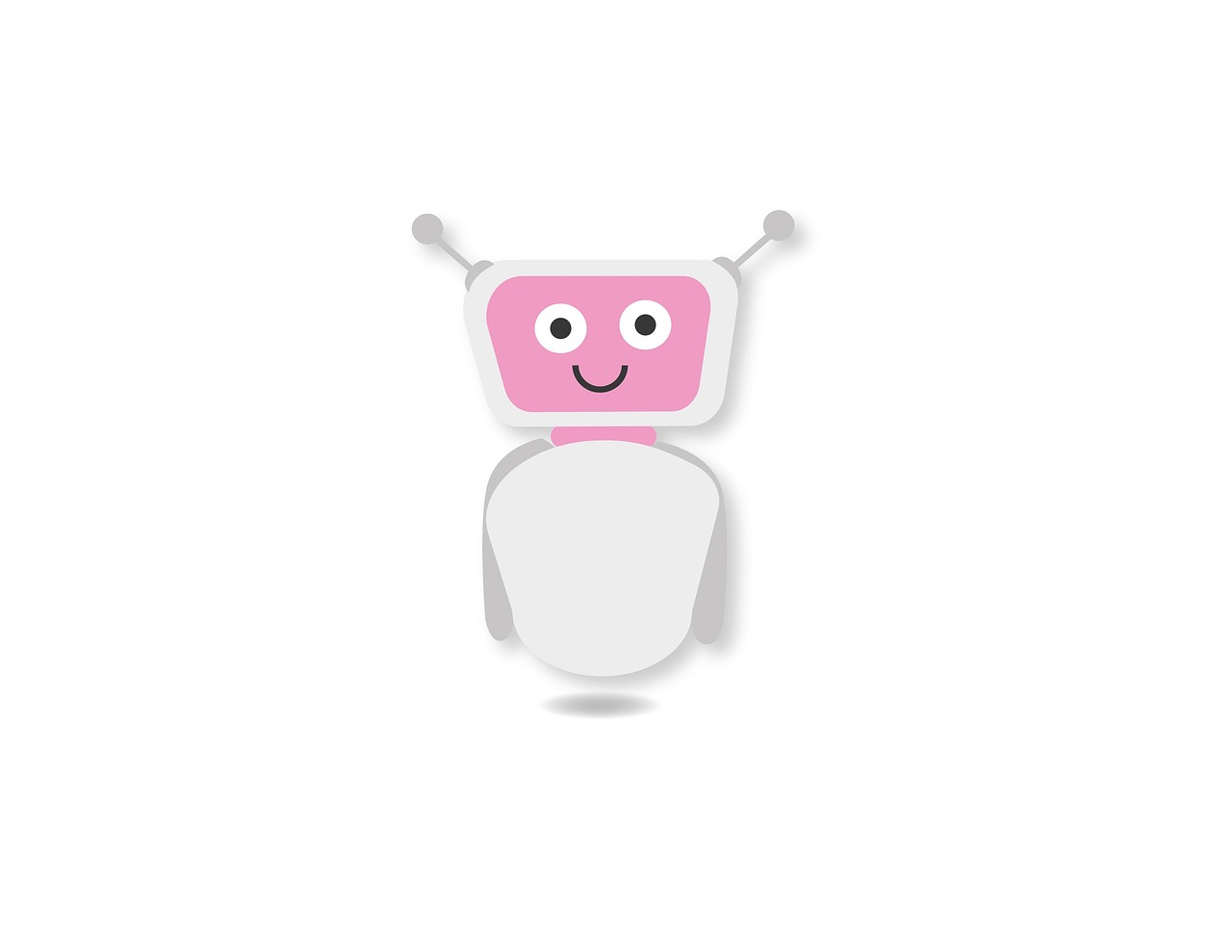 Chatbot Development for Crisis Communication