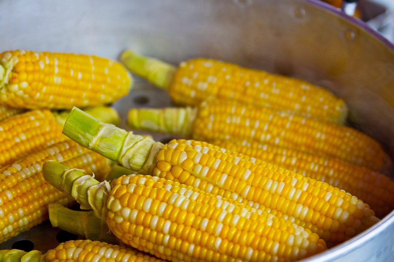 Implementing Individualized Nutrition Plans for Autism