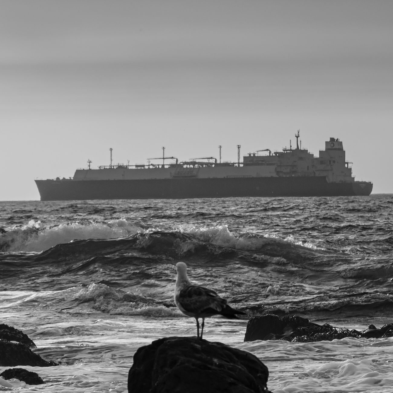 Maritime Labor Law and Regulations
