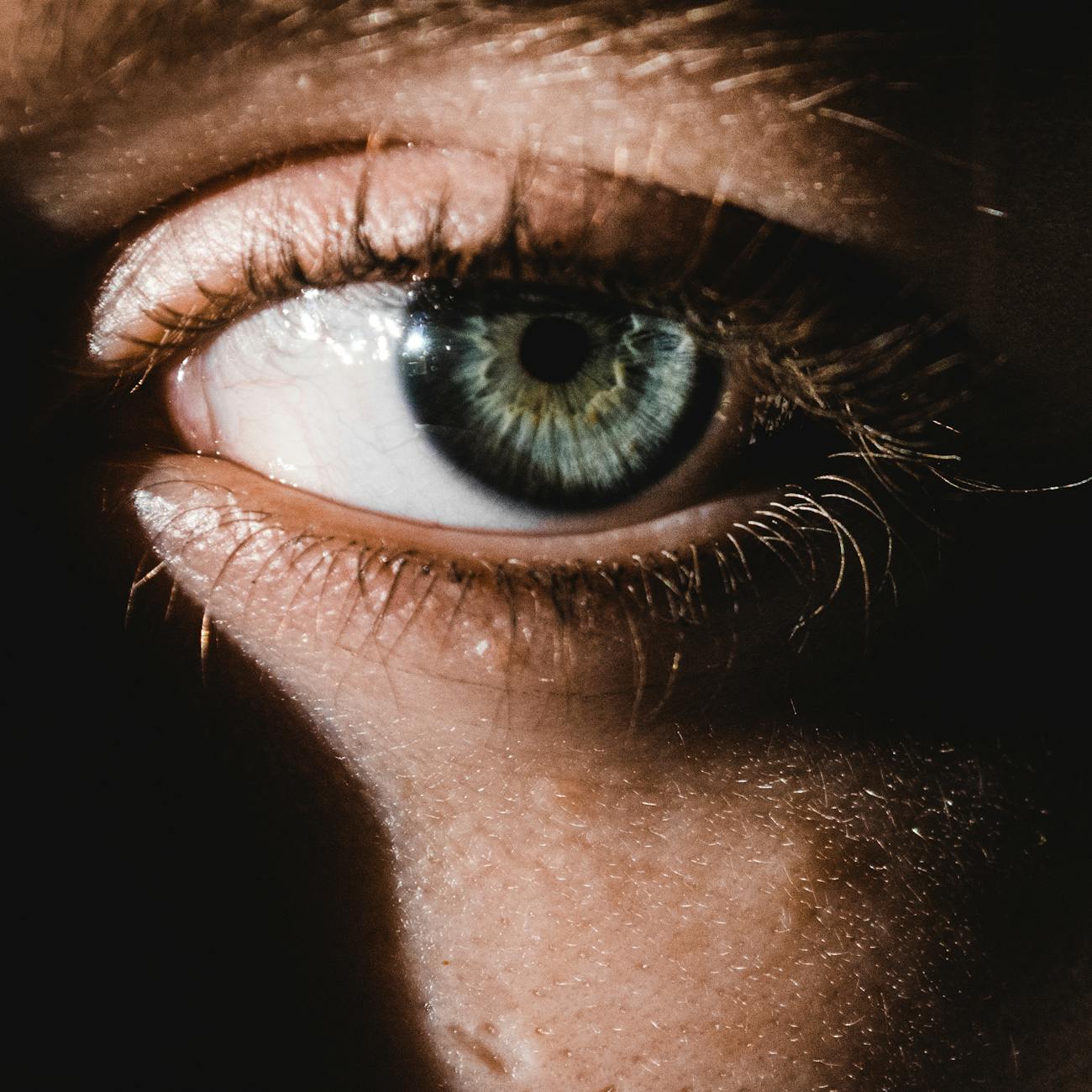 Ethical Considerations in Eye Tracking Research