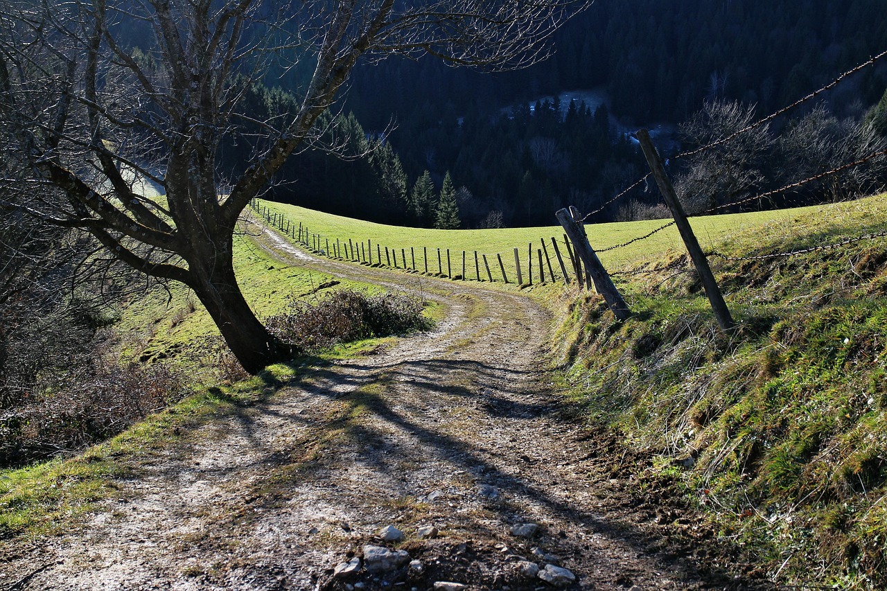 Risk Management in Mineral Economics