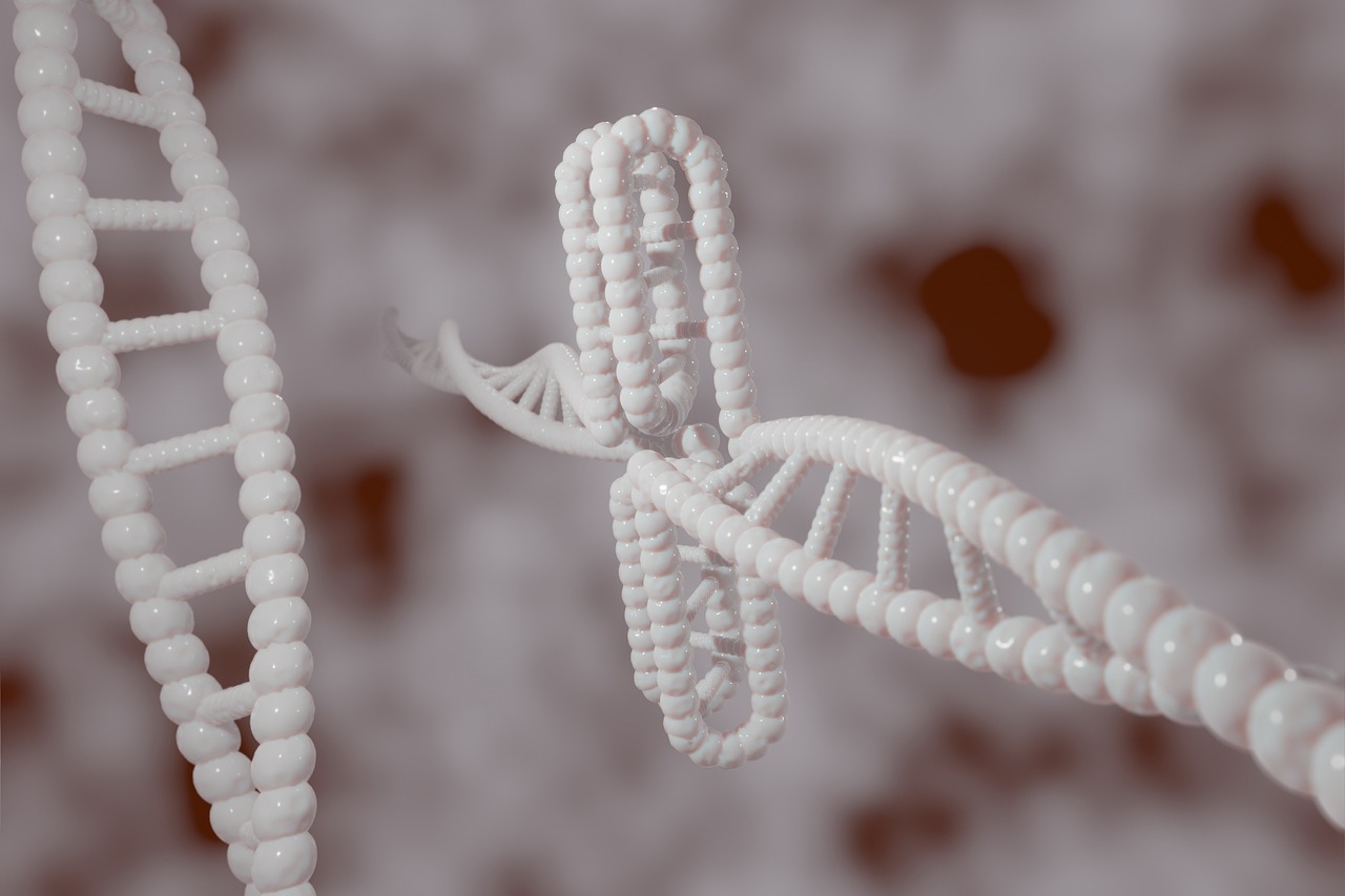 Biochemical And Physiological Aspects Of Aging
