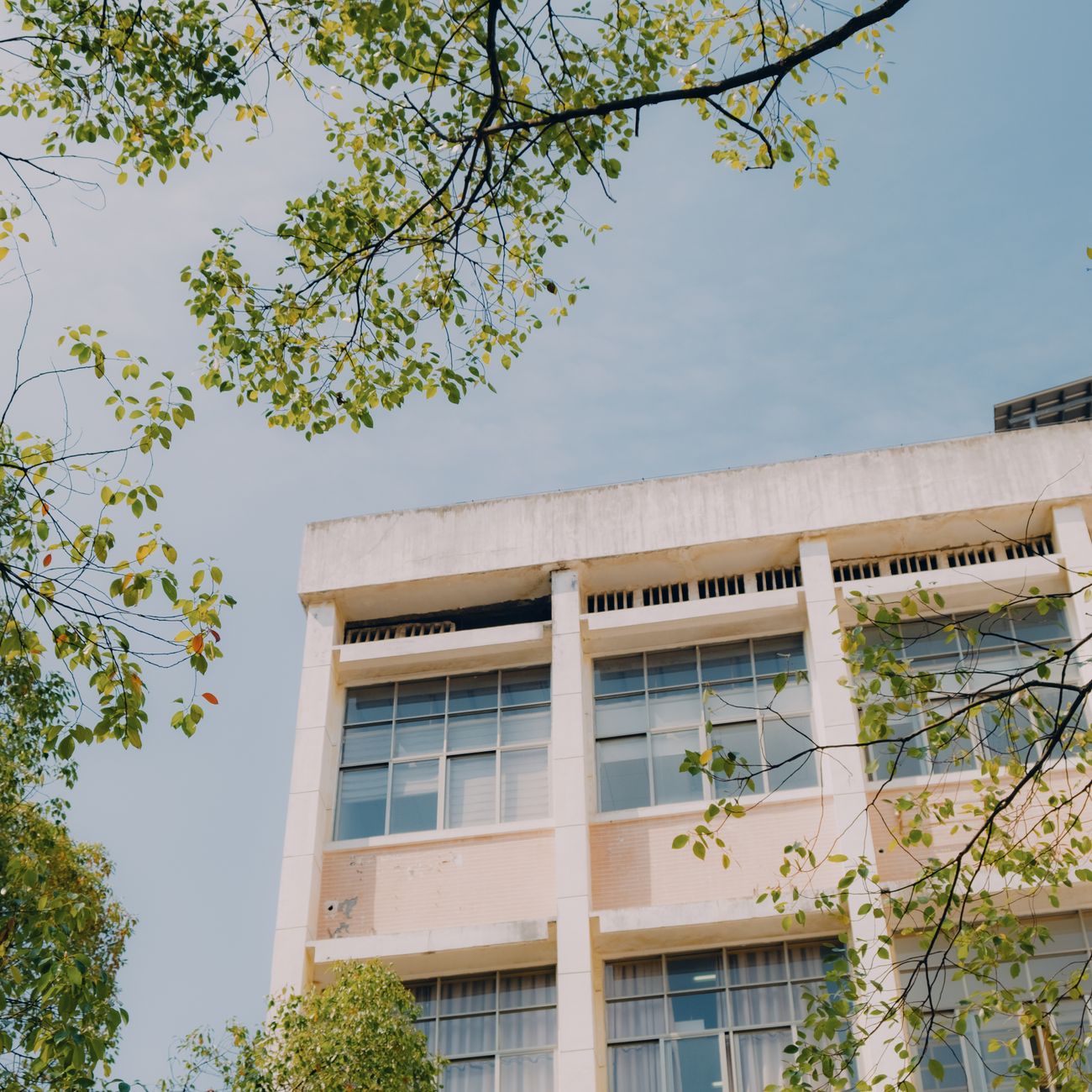 Sustainable Healthcare Design