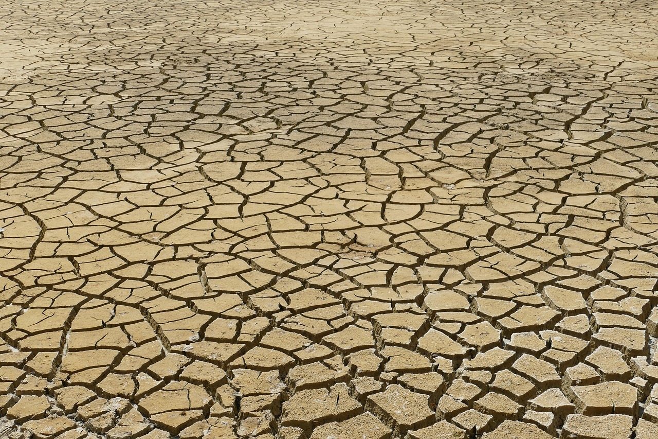 Climate Change Adaptation Strategies for Defence Infrastructure