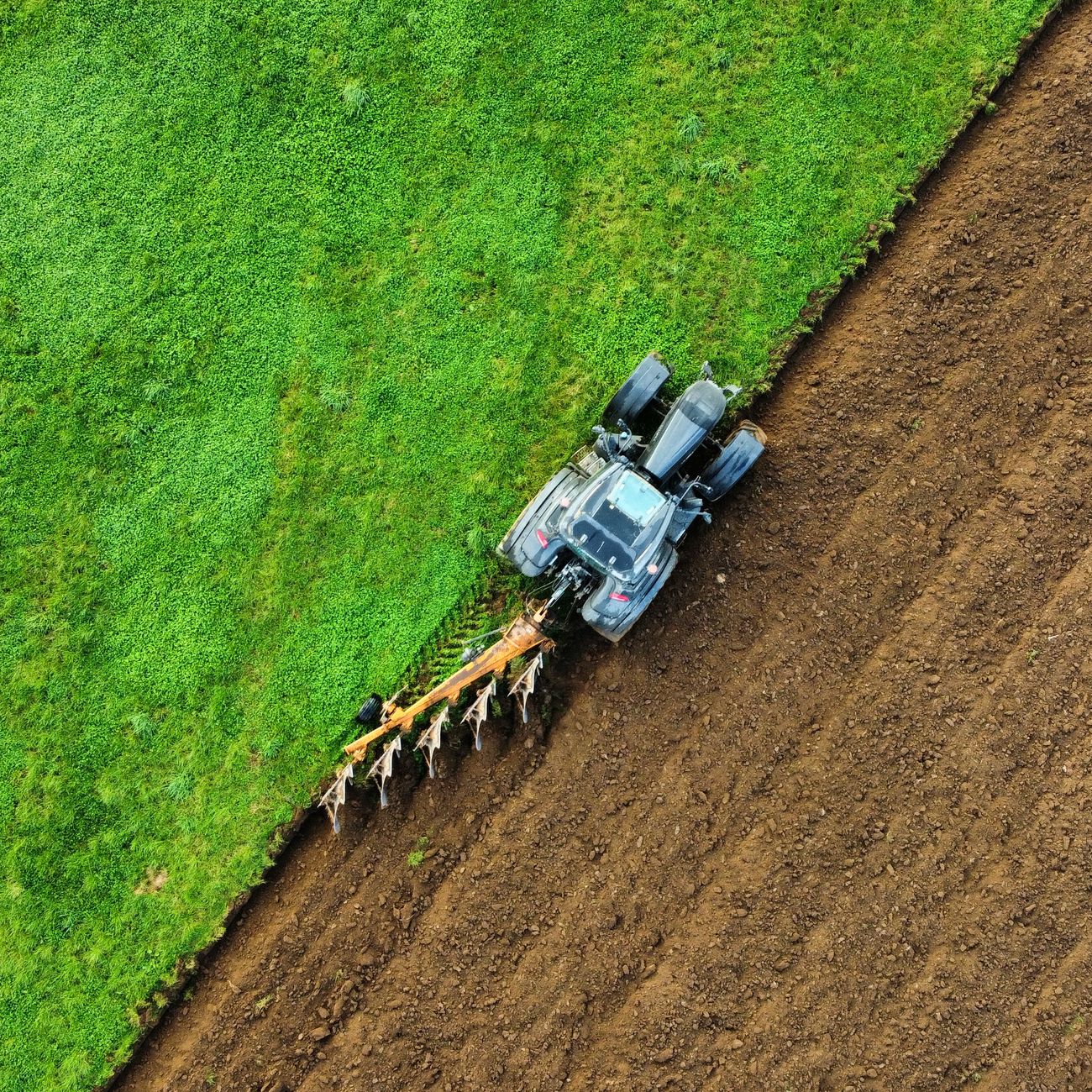 Business Structures and Reorganization for Farm Succession