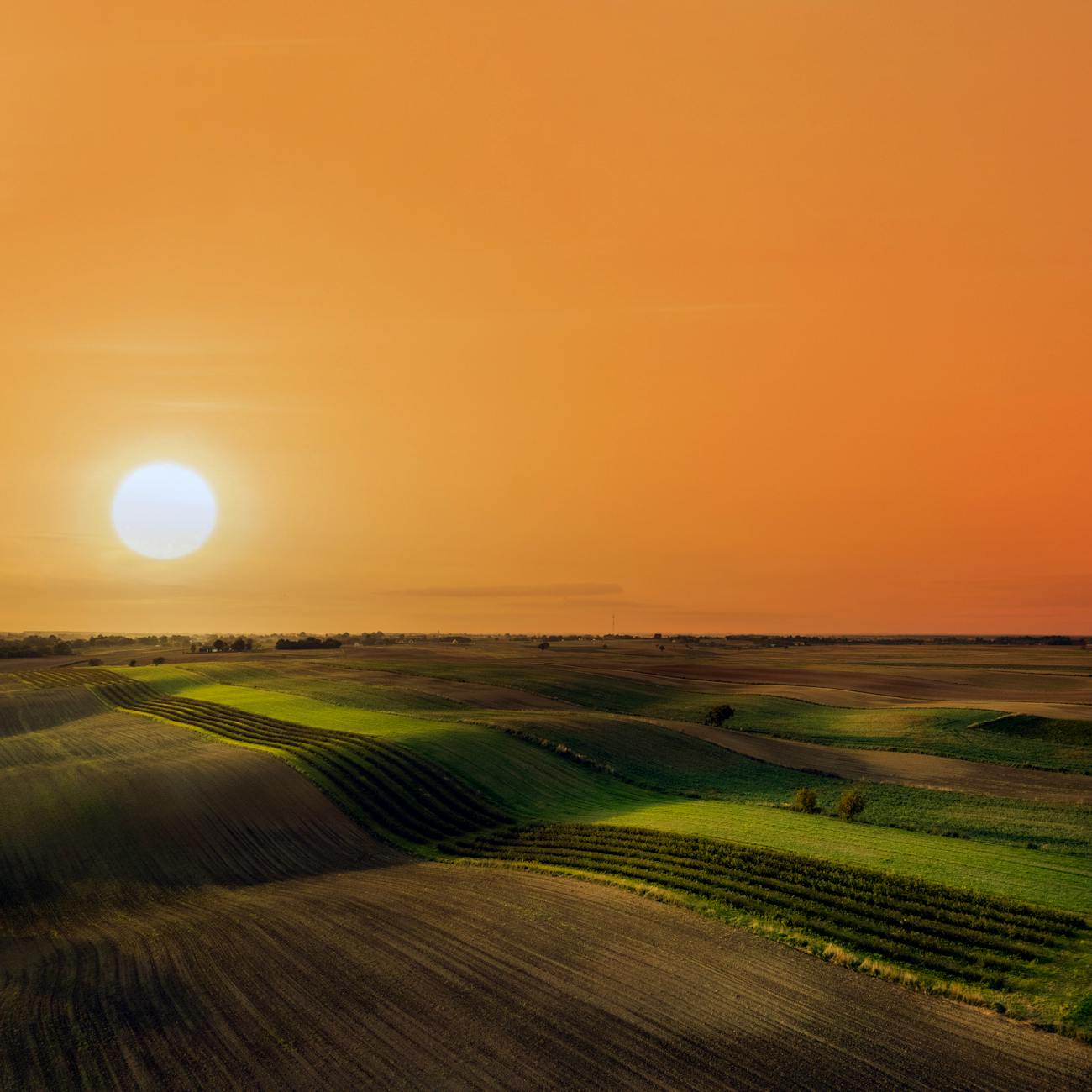 Financial Analysis for Agriculture