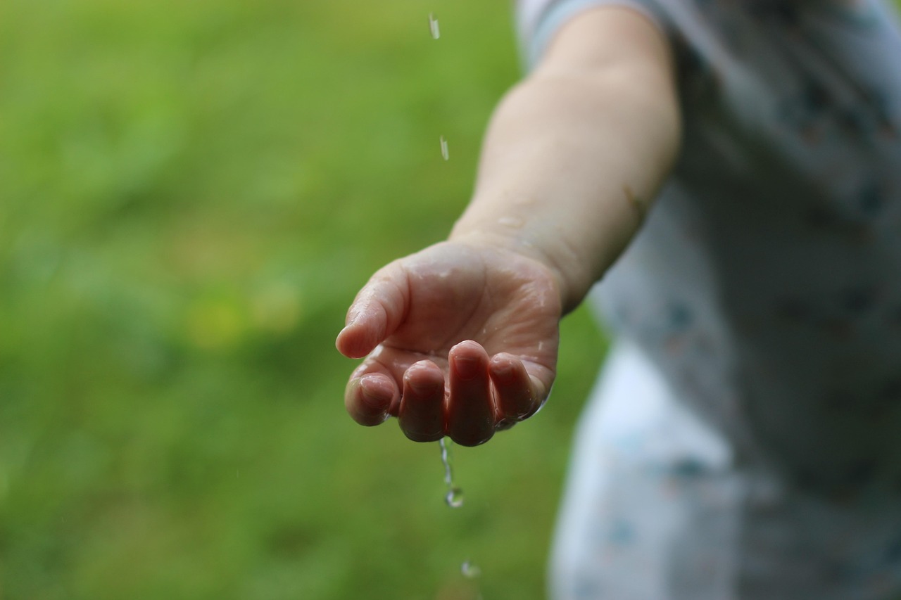 Sustainability Reporting in Agriculture