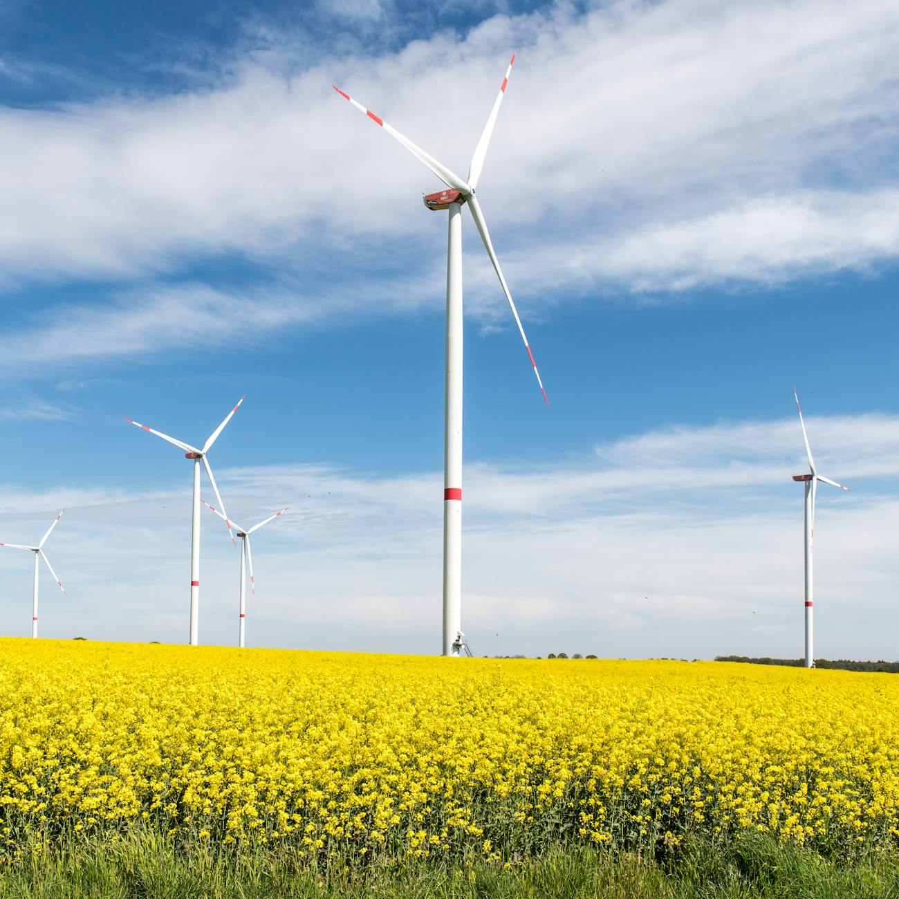 Renewable Energy Compliance and Enforcement (United Kingdom)