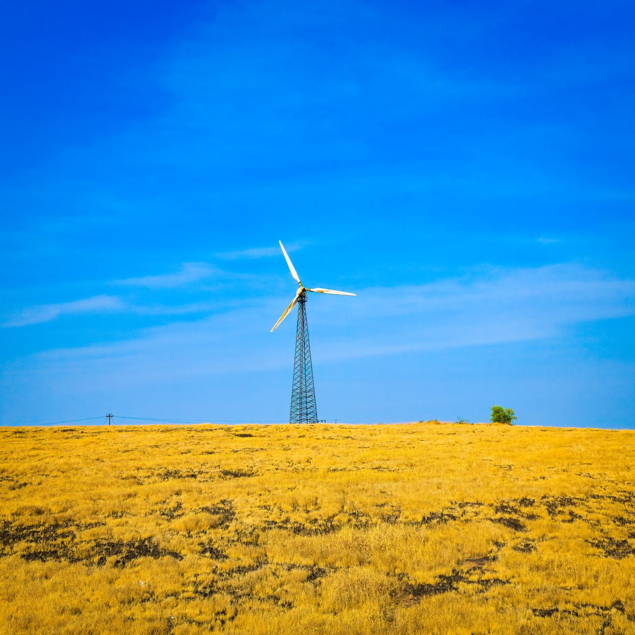 Renewable Energy Technology Assessment (United Kingdom)