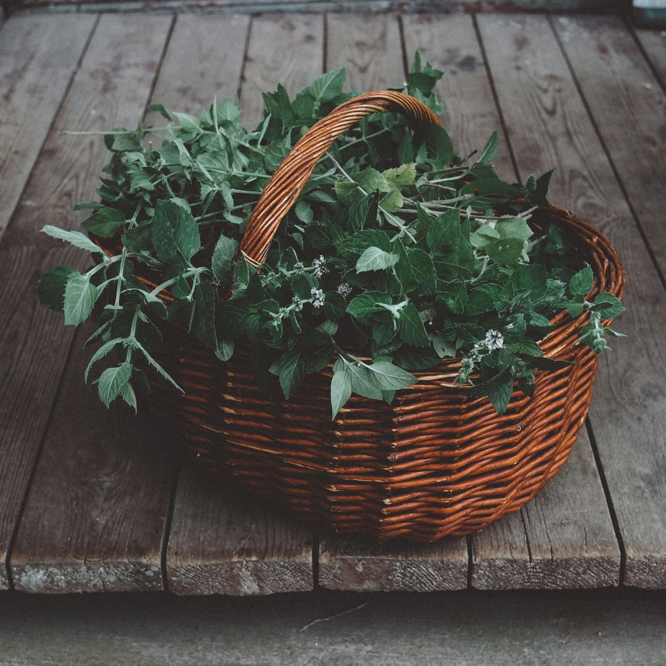 Herbal Remedies for Menopause