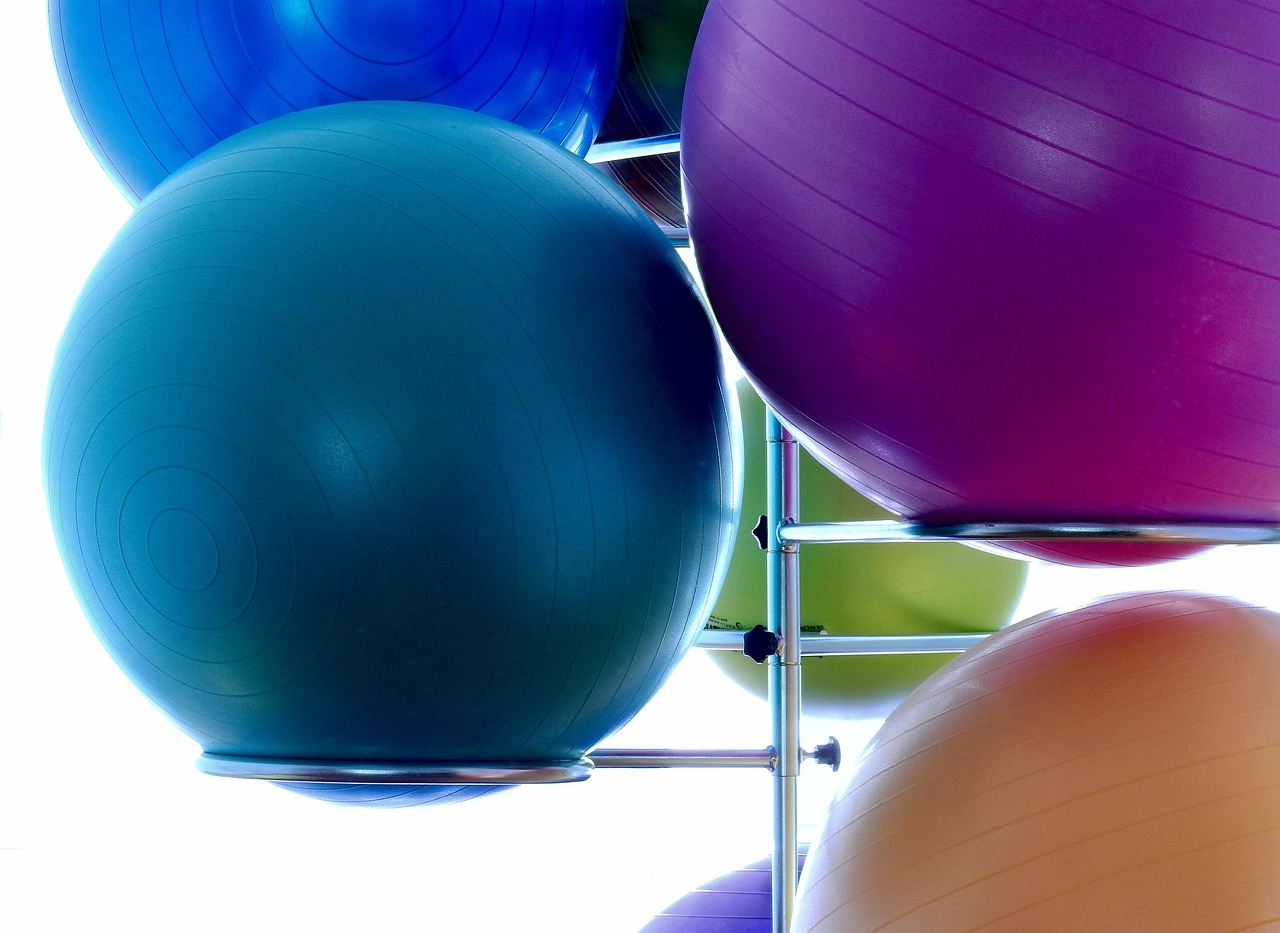 Exercise and Longevity