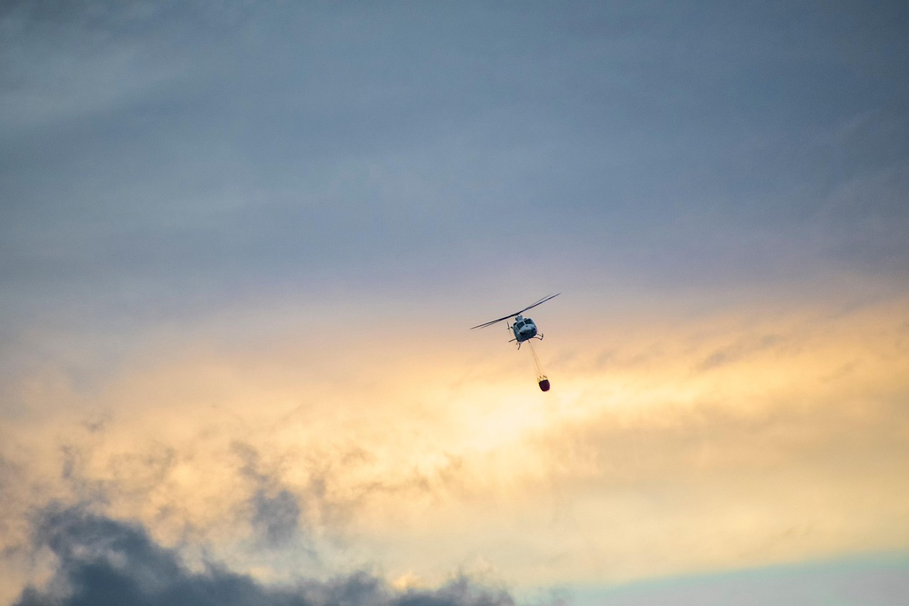 Disaster Response and Preparedness