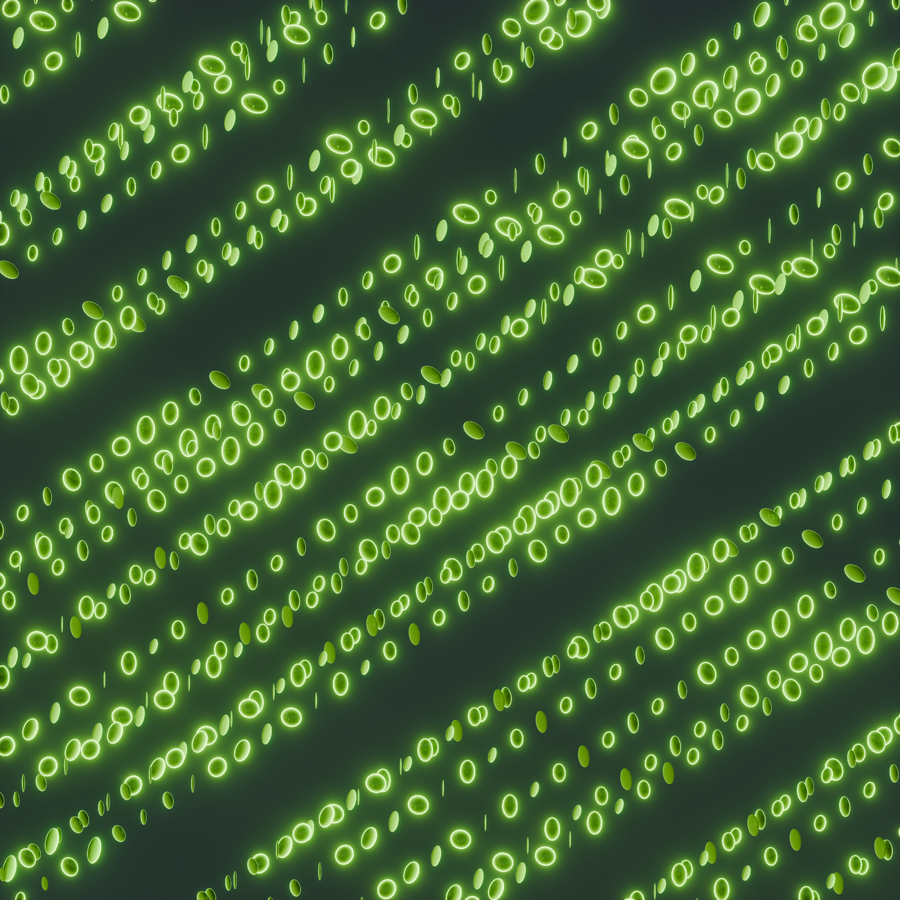 AI Applications in Patent Law