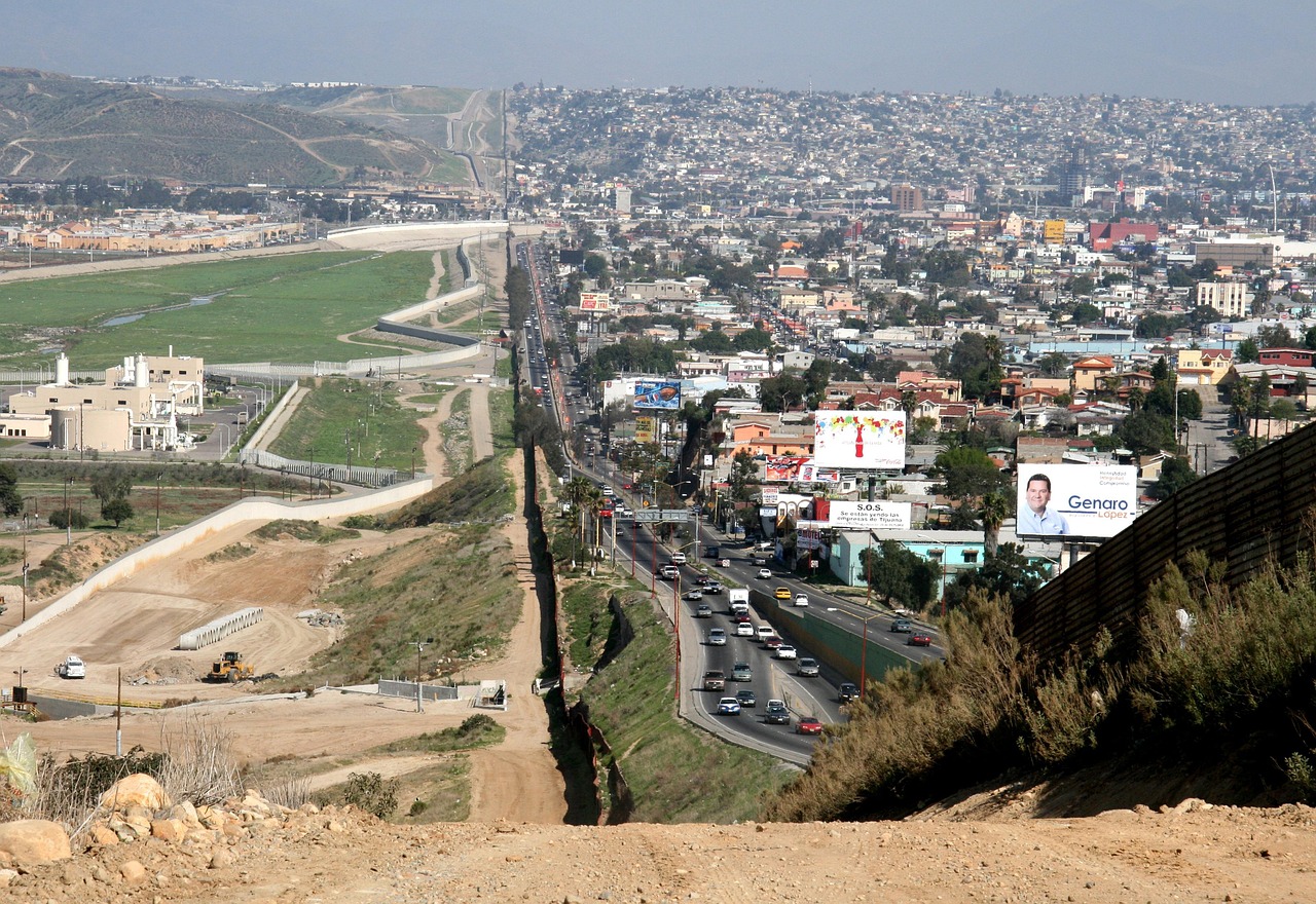 Taxation and Immigration for Expatriates  