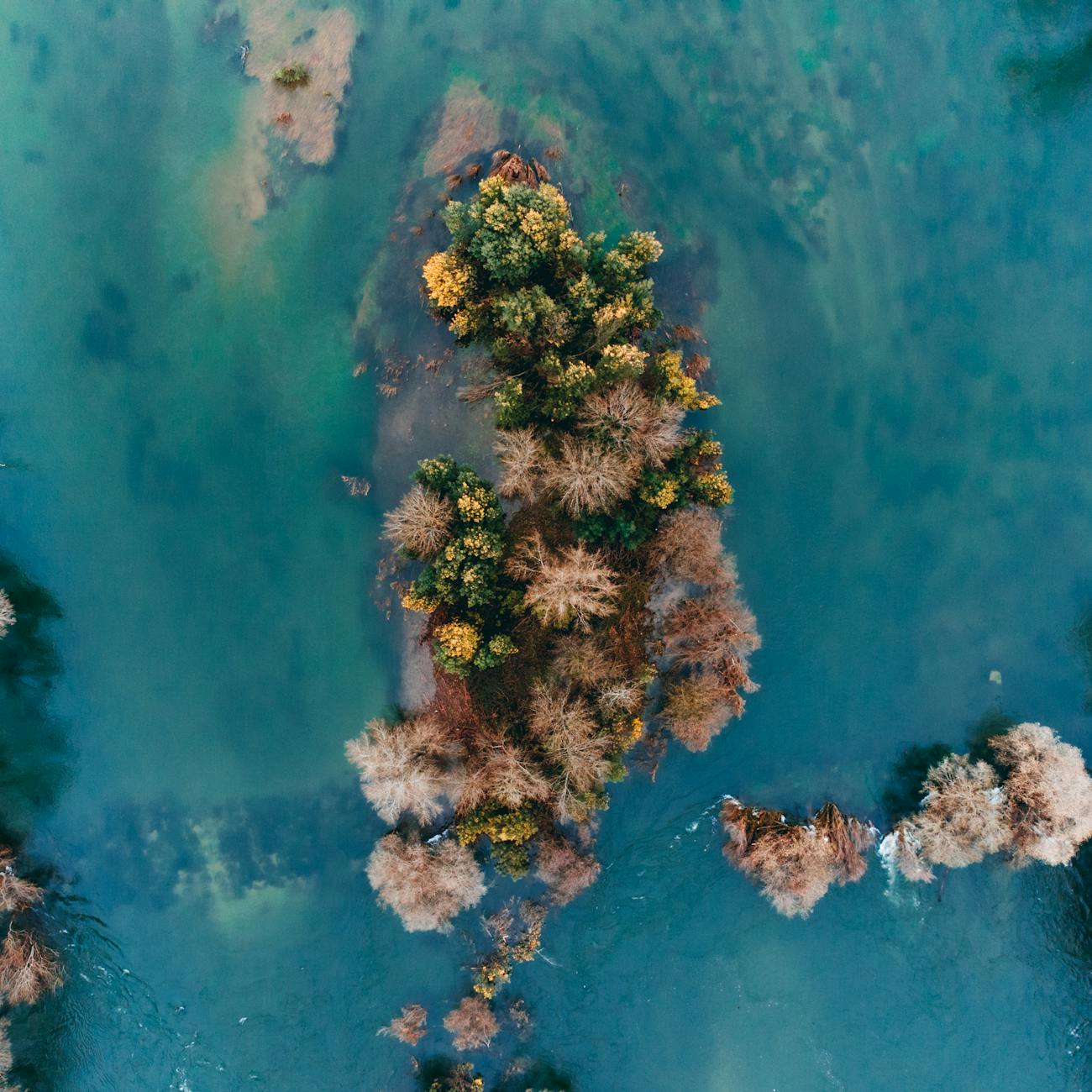 EU Environmental Law