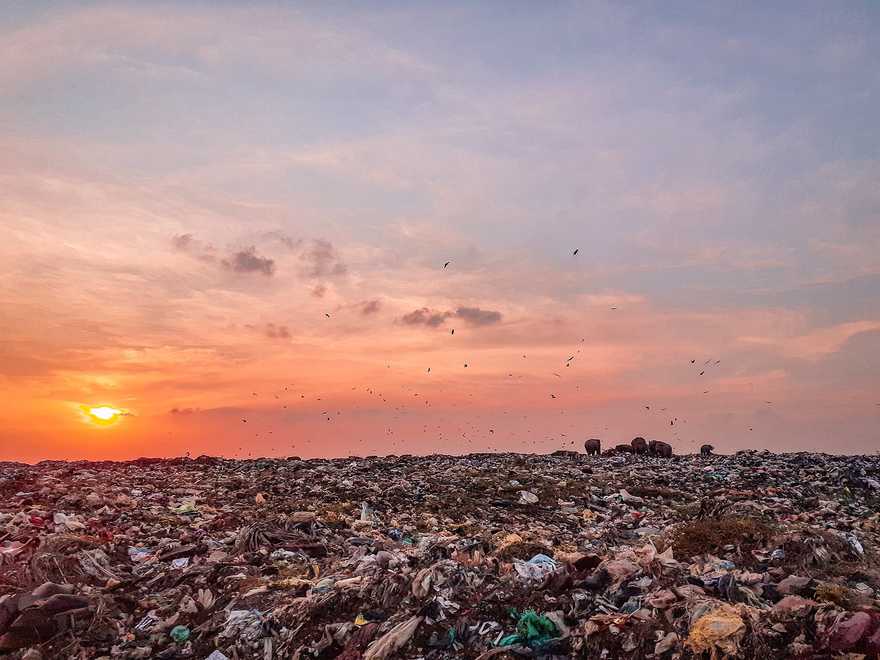 Landfill Design and Operation