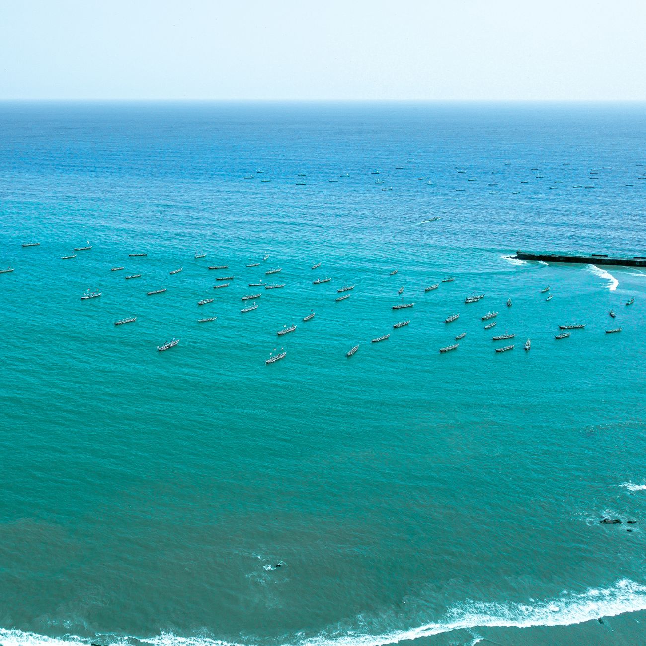 Mussel Farming Regulations