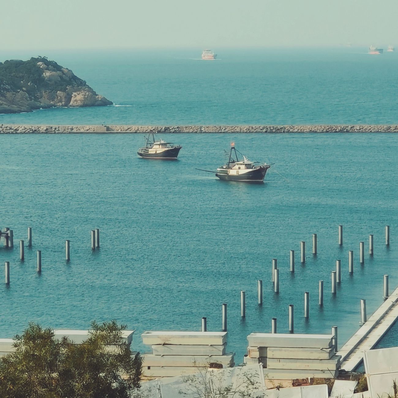 Mussel Harvesting and Processing