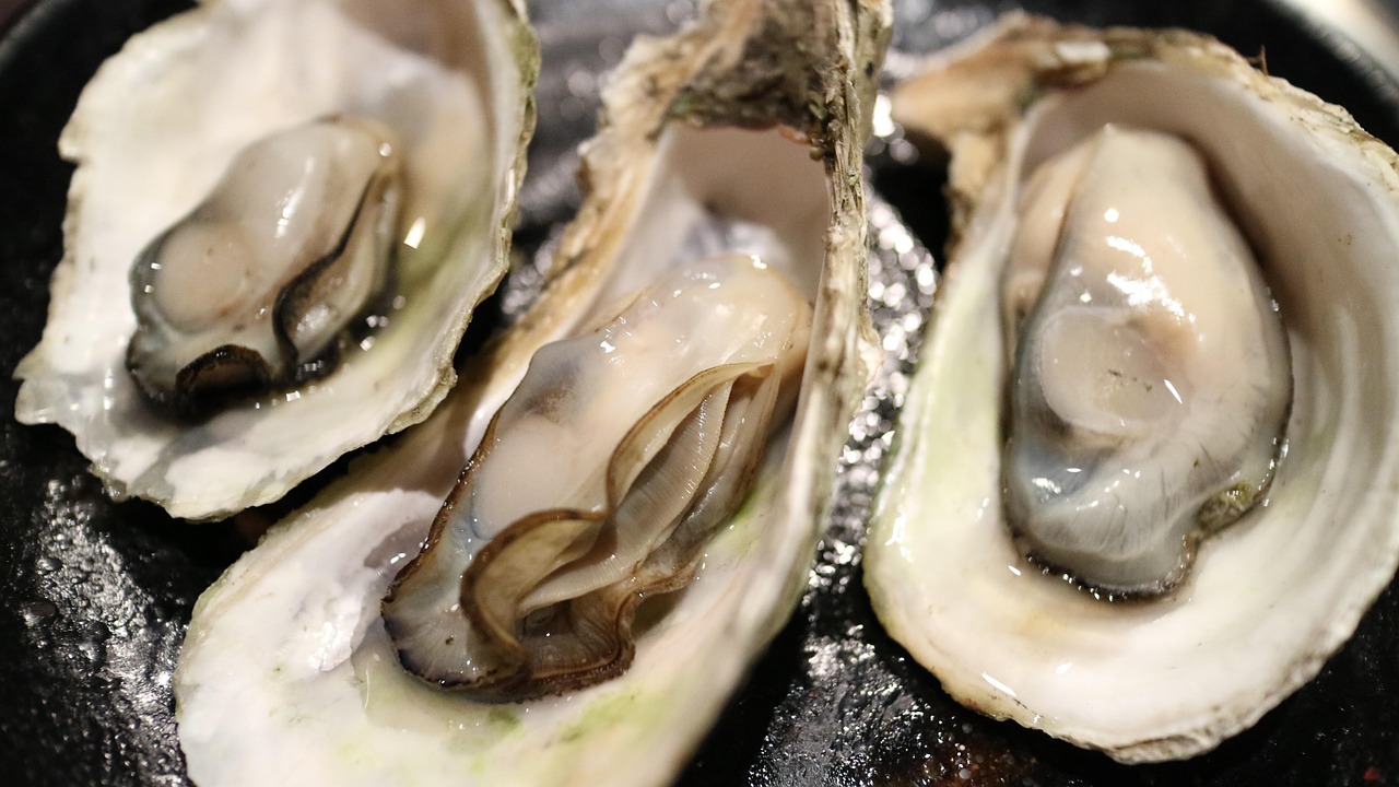 Mussel Sustainability Practices