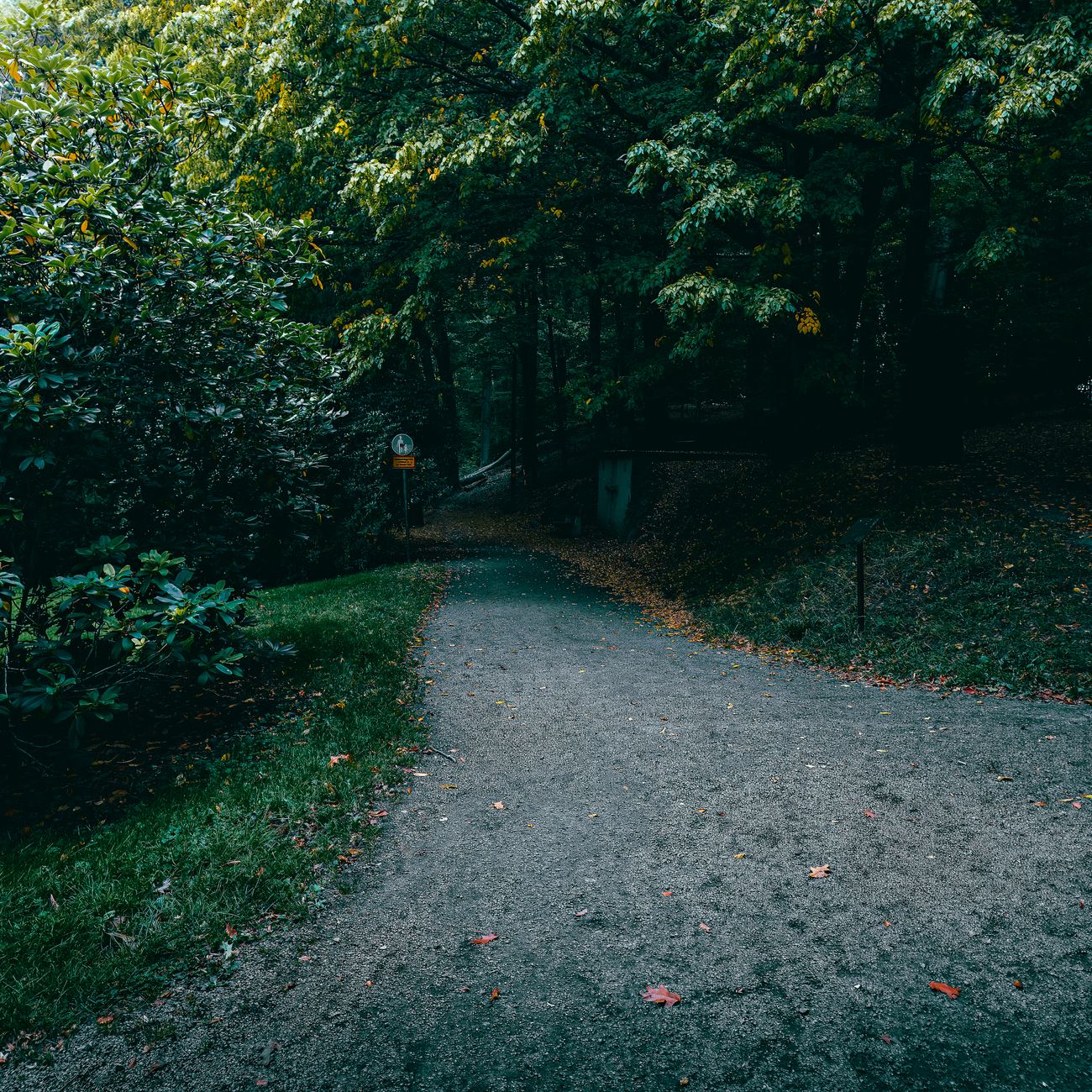 Motivational Interviewing Techniques