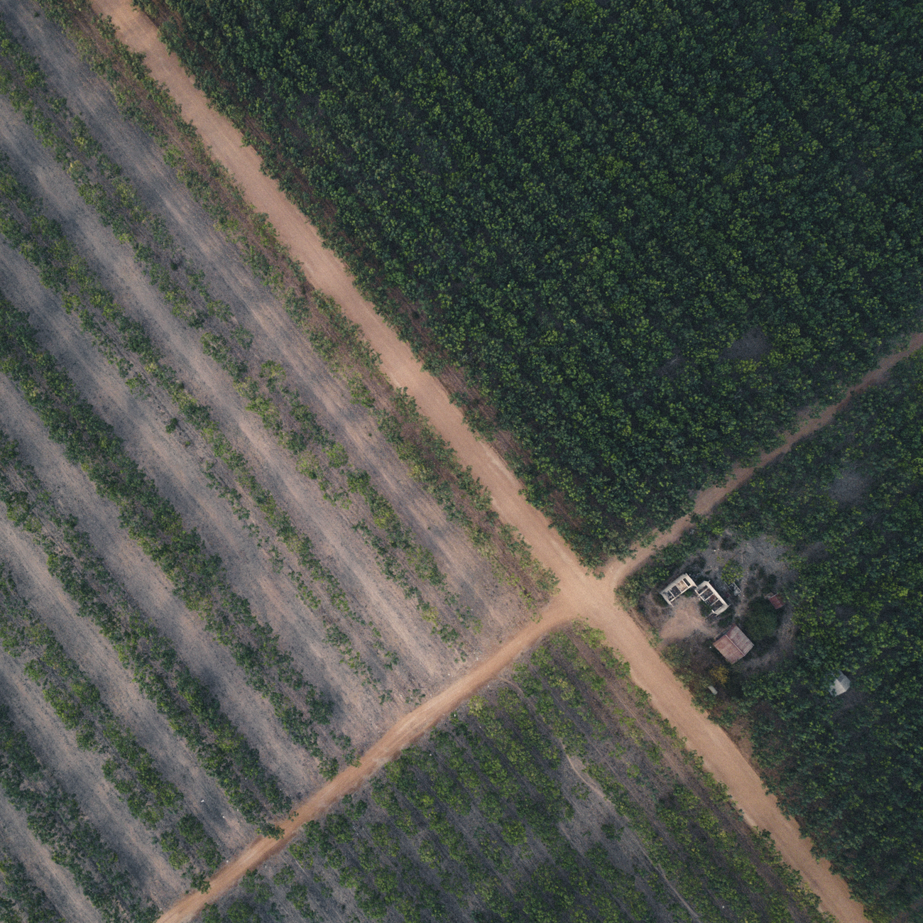 Internet of Things (IoT) Applications in Agriculture