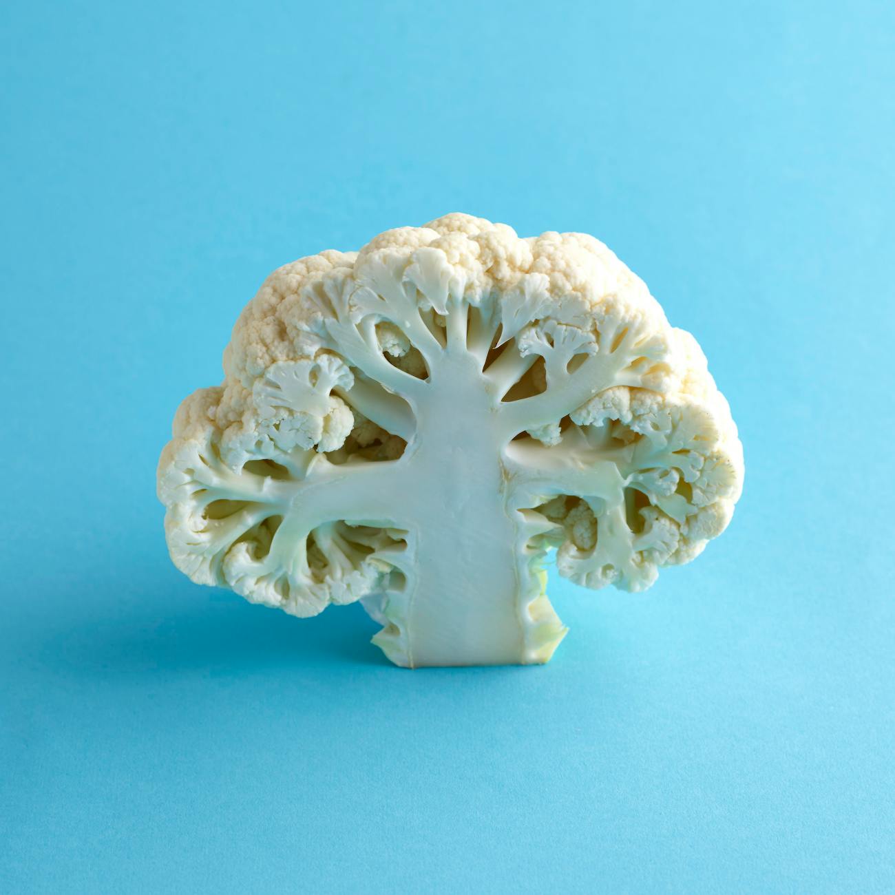 The Gut-Brain Connection