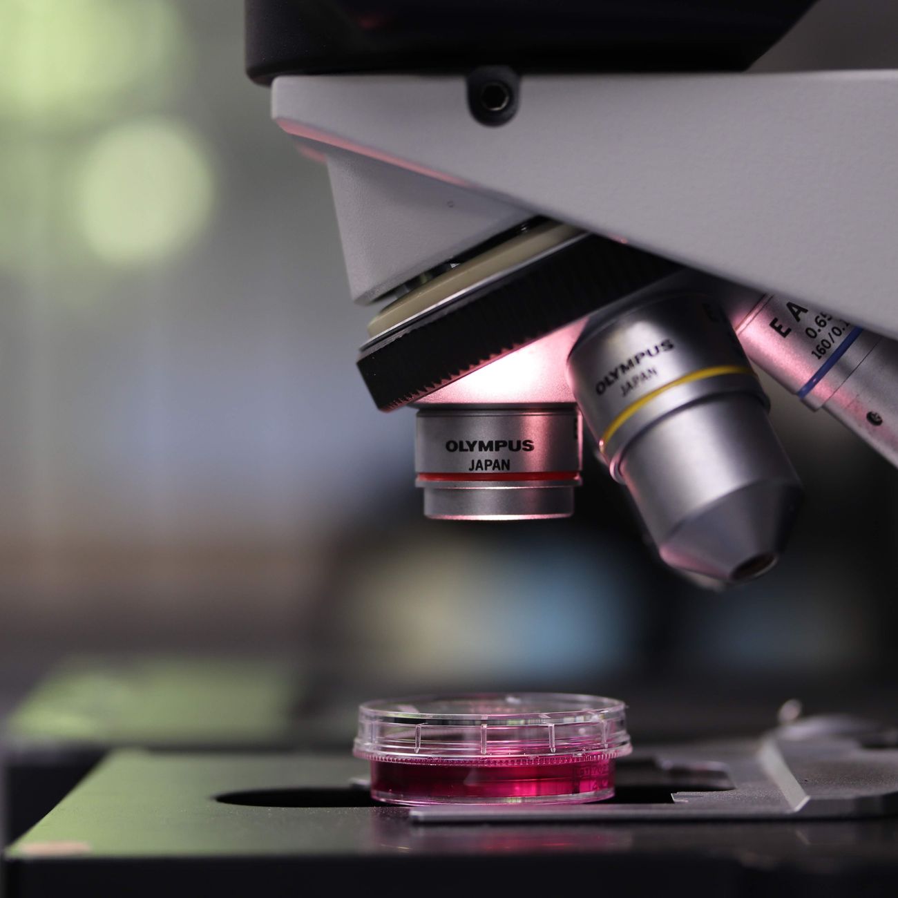 Research Methods in Medical Education
