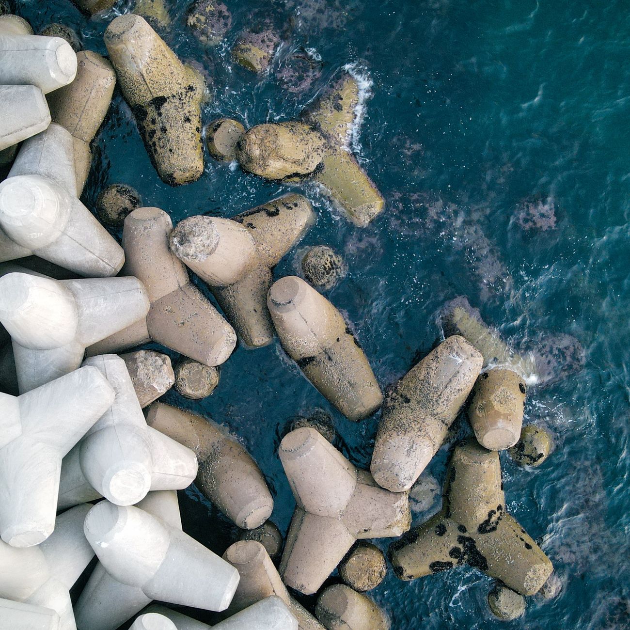 Marine Corrosion and Protection