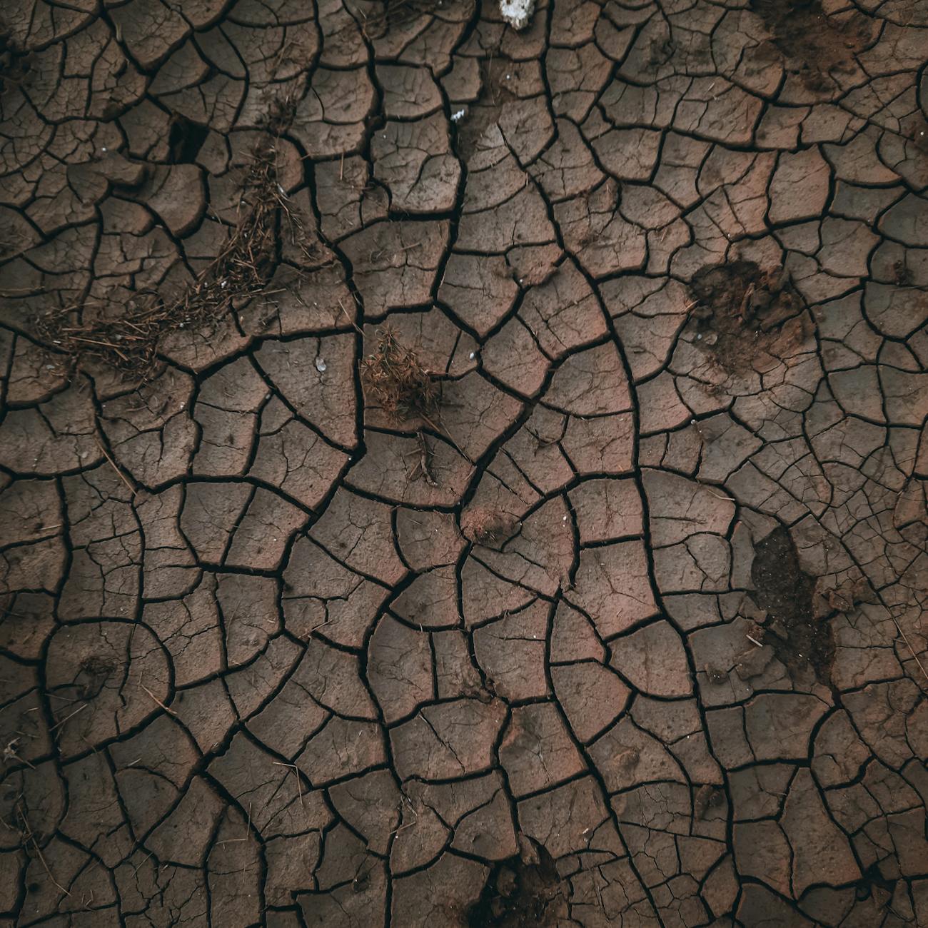 Soil testing