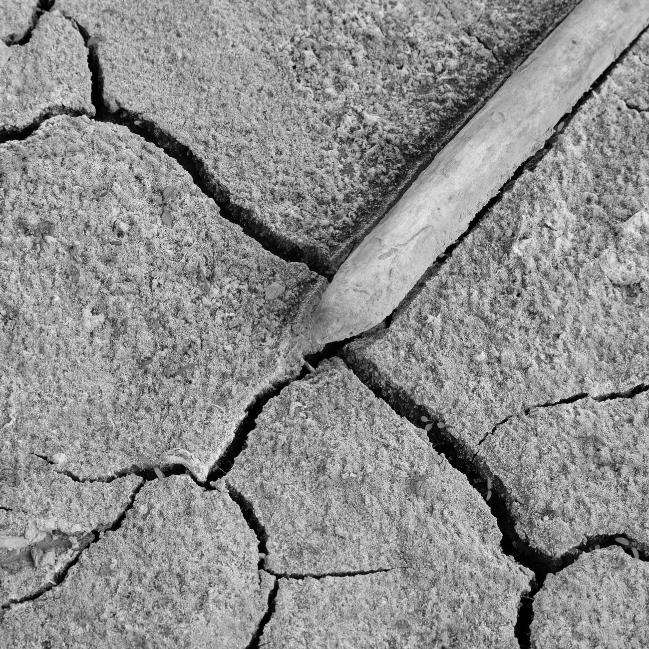 Osteoporosis Management in Older Adults 