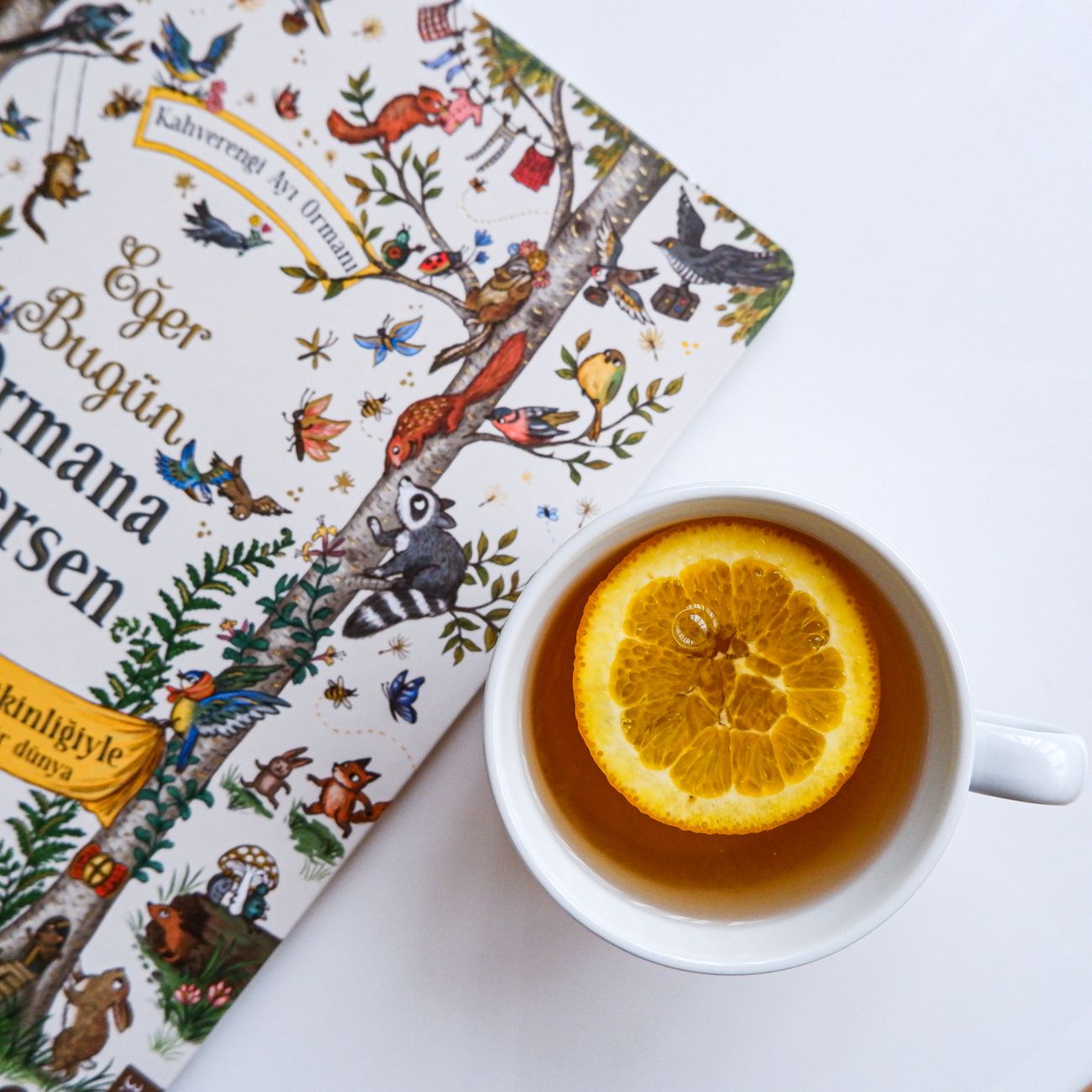 Romanian Folklore and Mythology