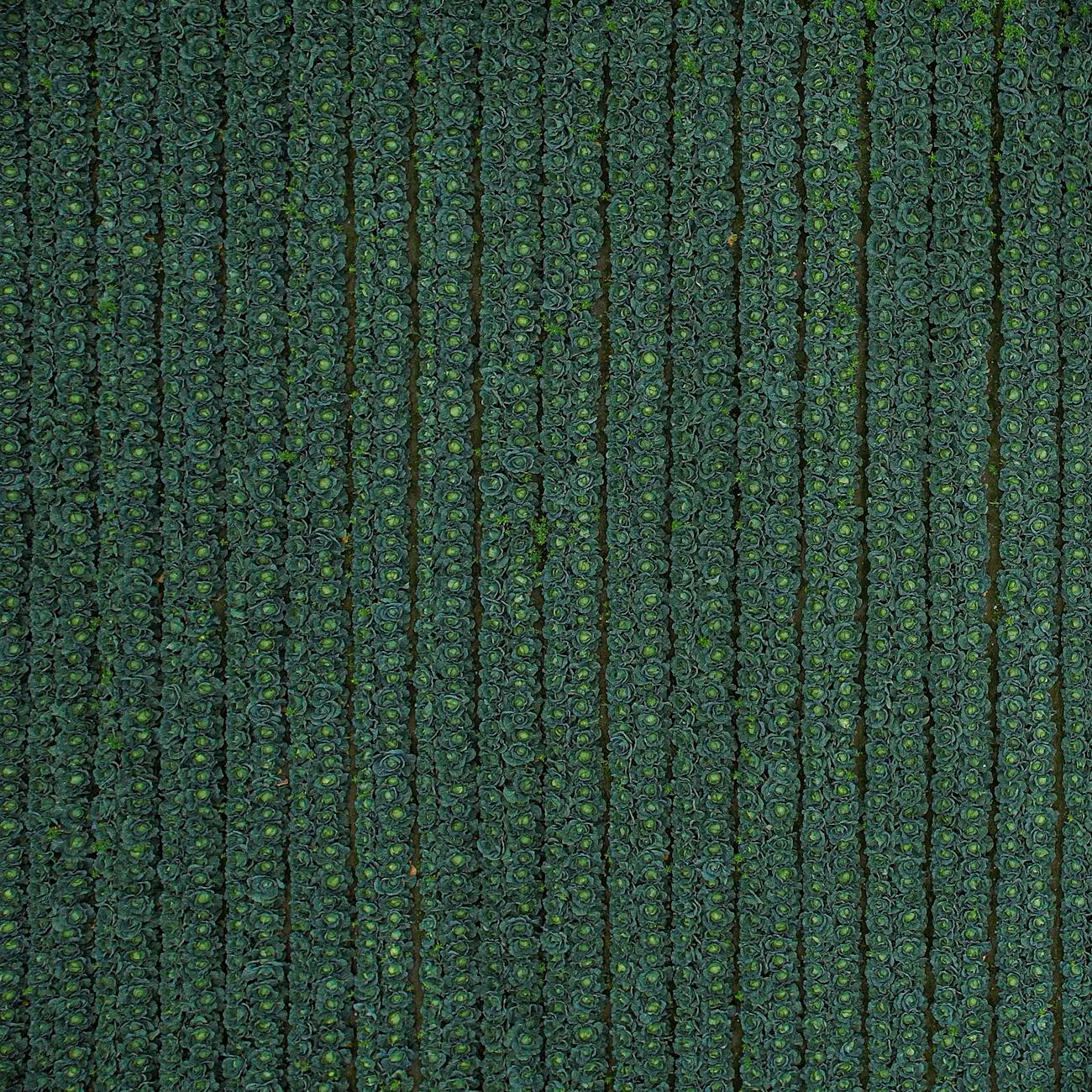Remote Sensing Applications in Agriculture