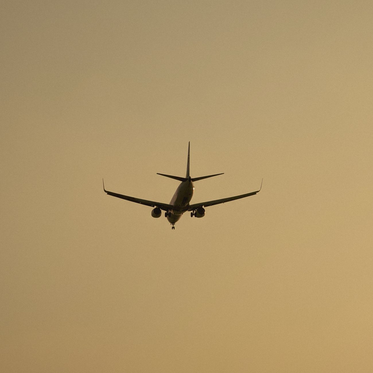 Fatigue Management in Aviation