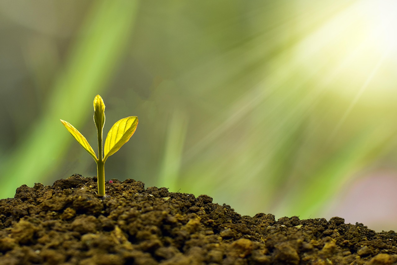 Financial Sustainability and Resilience