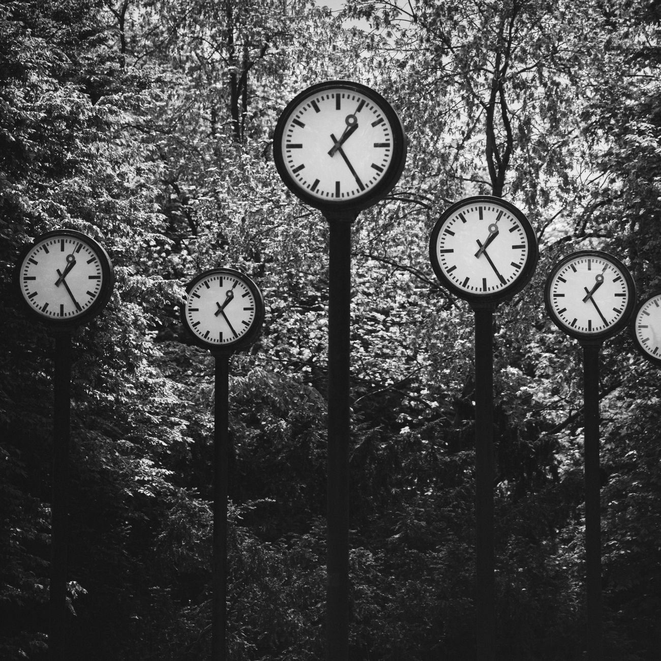 Time Management and Organization