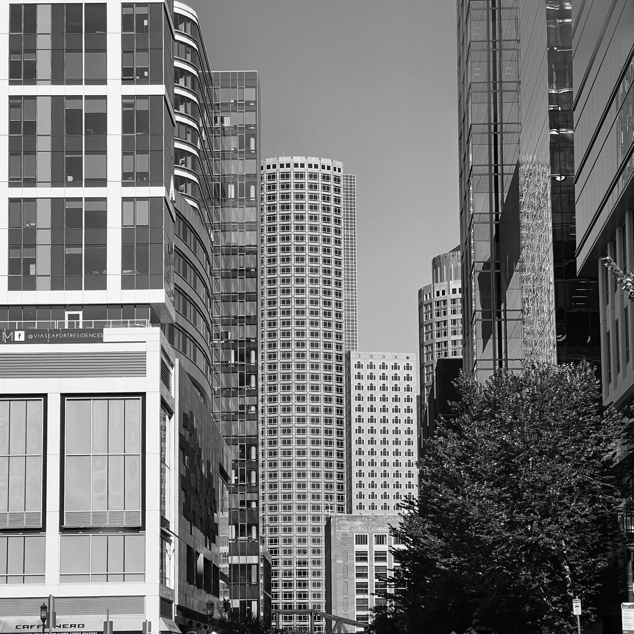 Intellectual Property Rights in International Business.