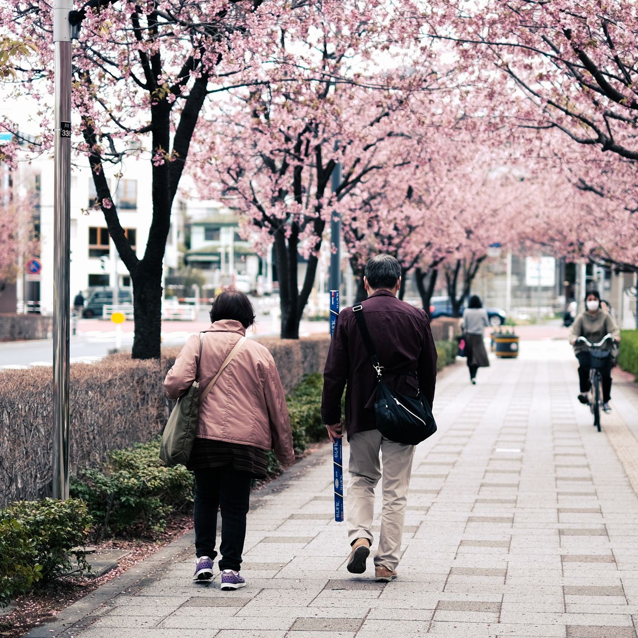 Introduction to Geriatric Oncology