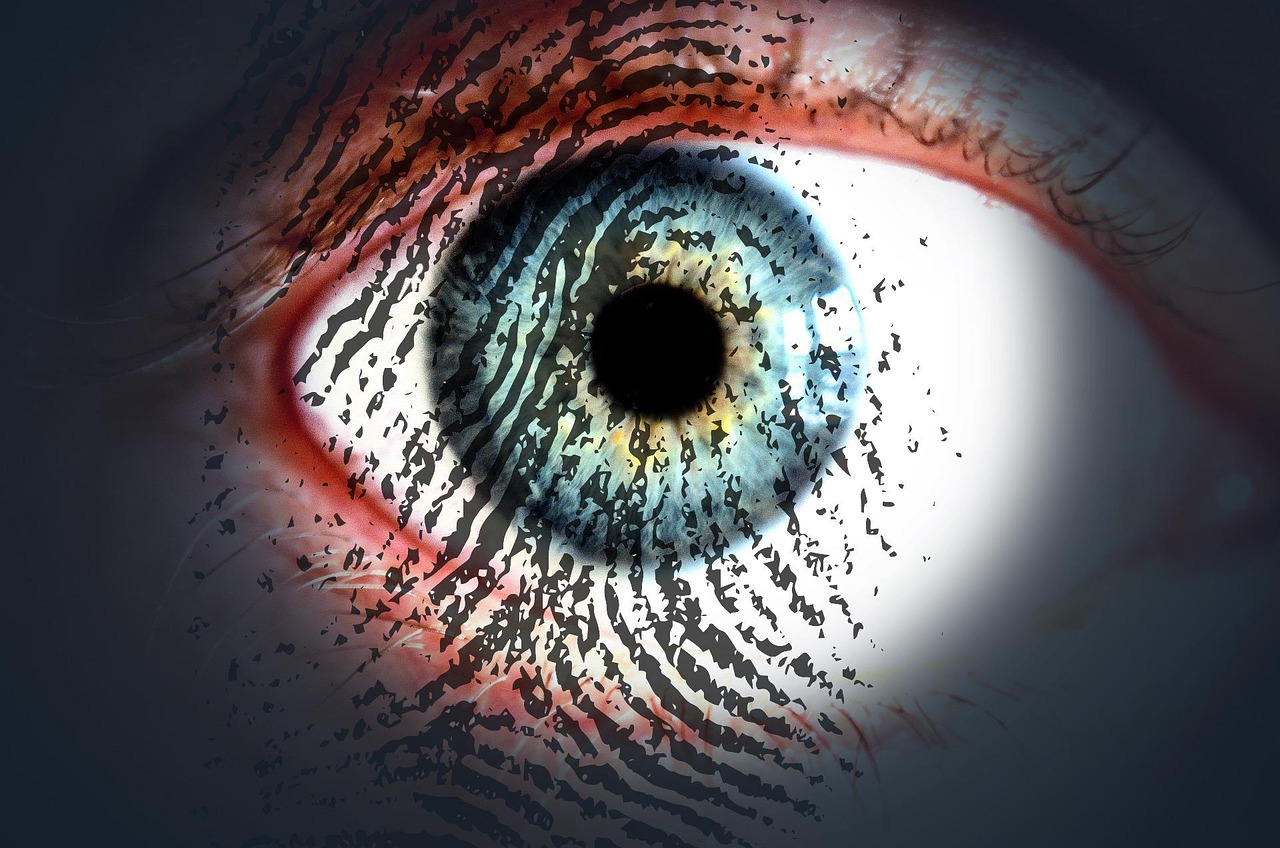 Data Integrity Management