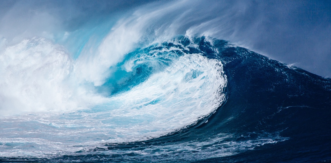 Energy Market Dynamics