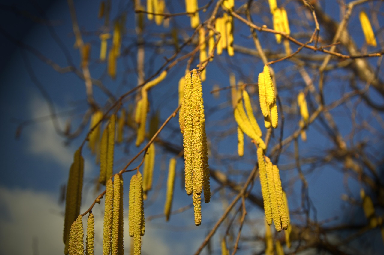 Food Allergens and Intolerances