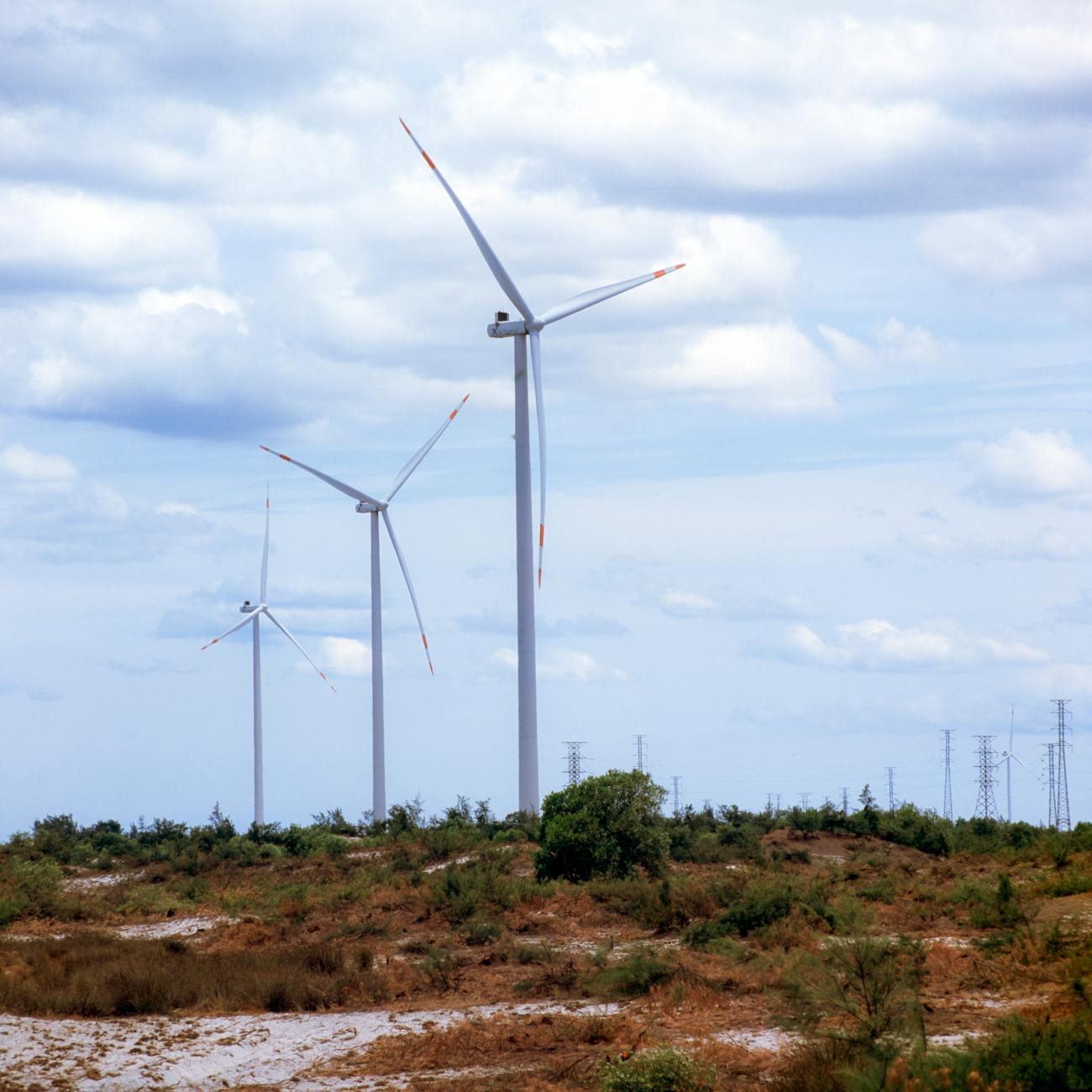 Renewable Energy Economics