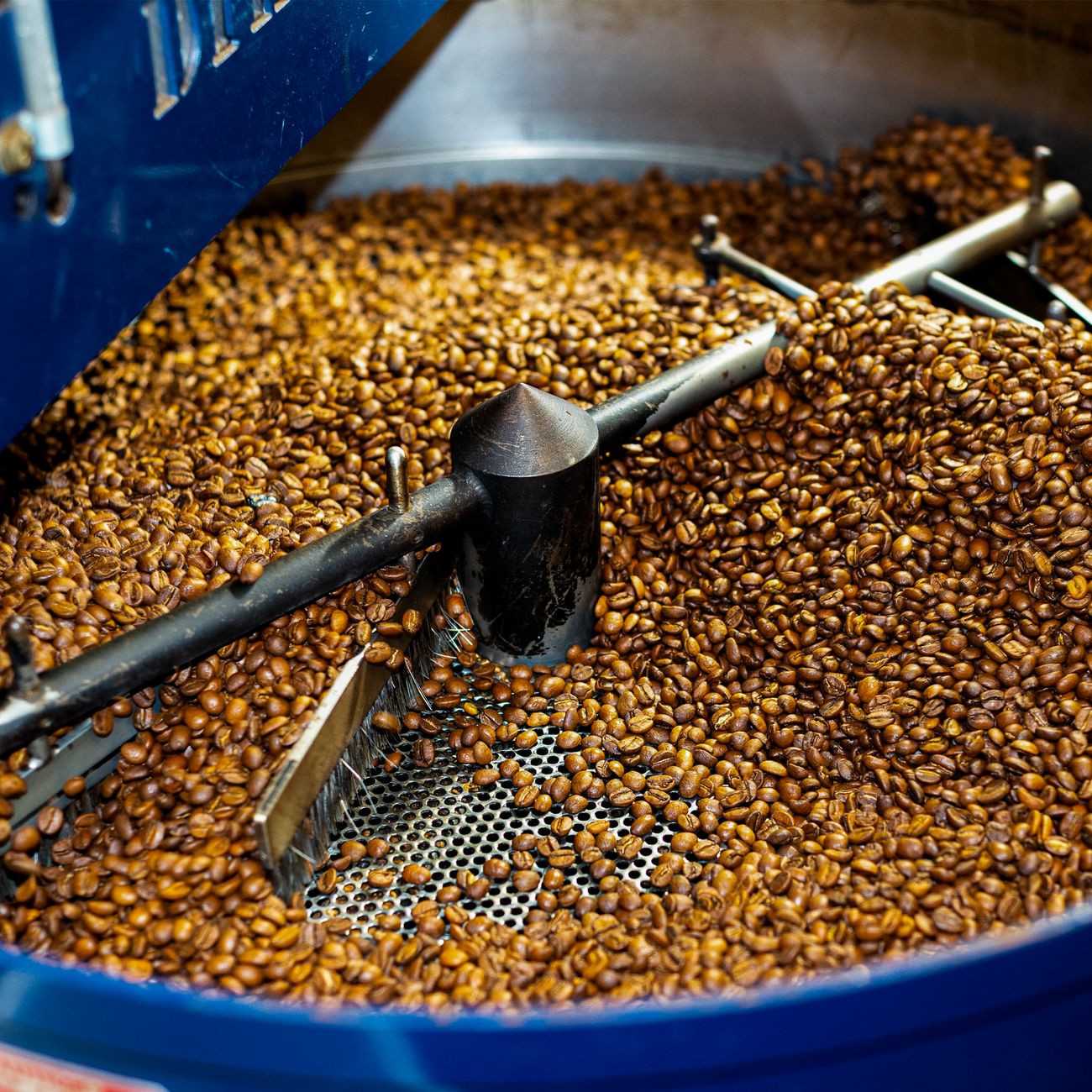 Tea Processing Methods