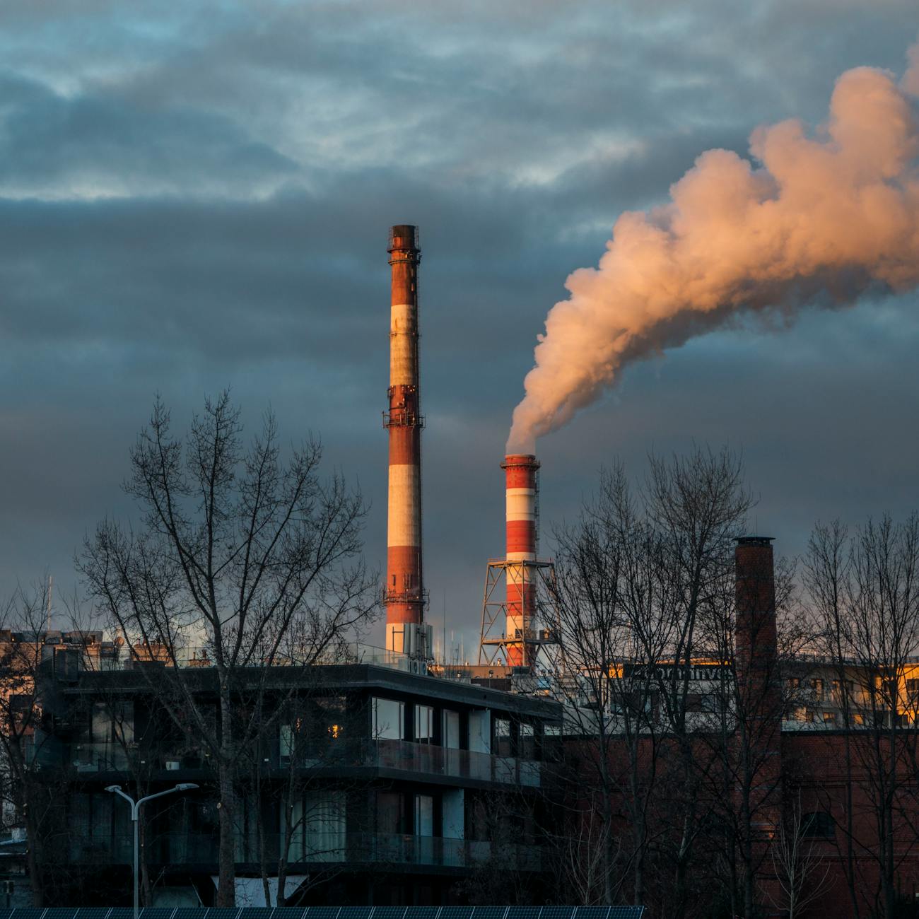 Environmental Toxicology