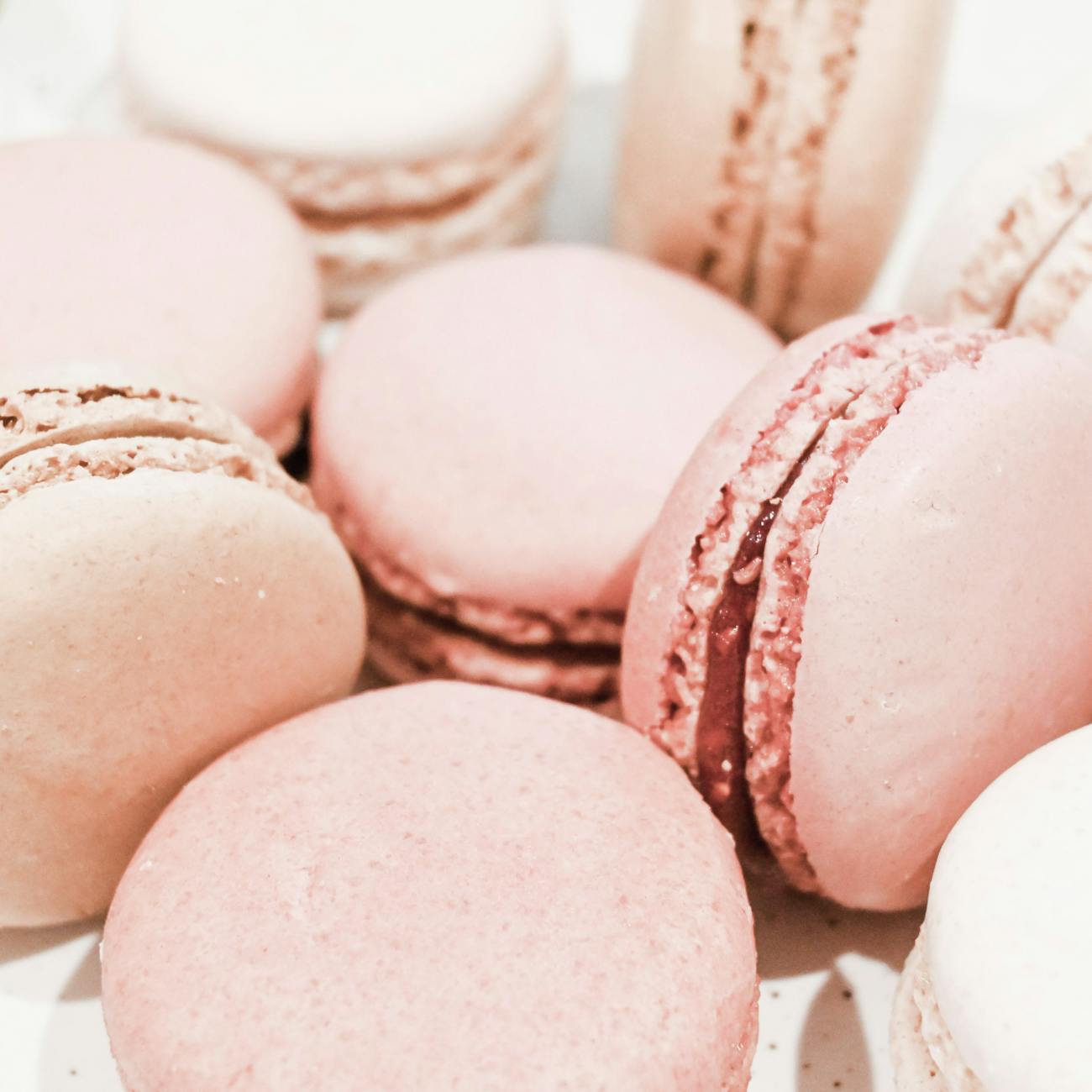 Marketing Strategies for Therapeutic Baking.