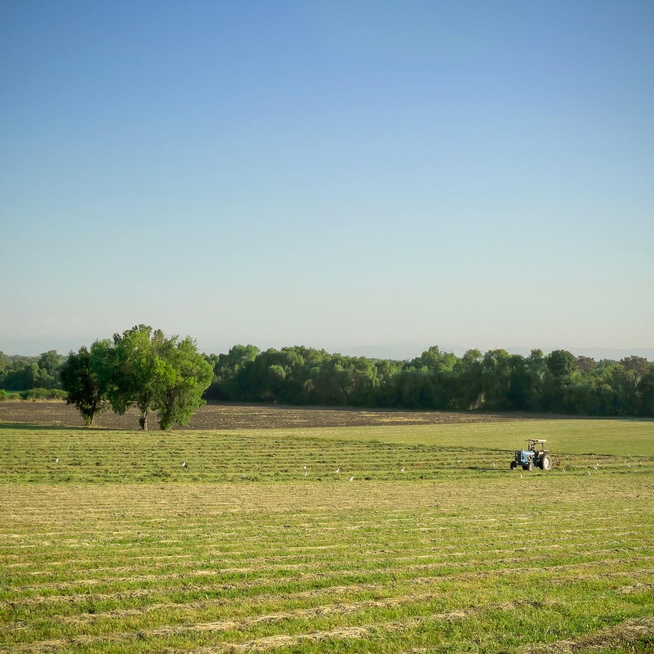 Water Management in Agroecosystems