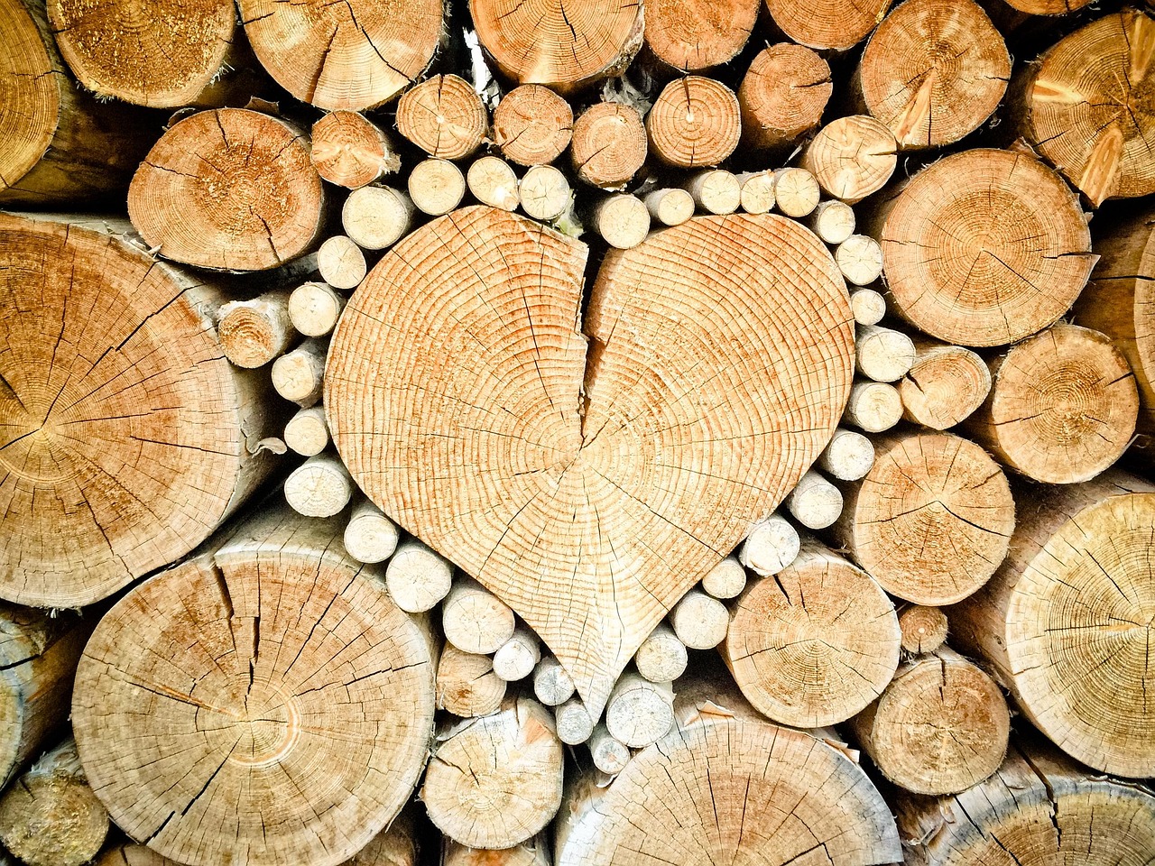 Econometrics for Forestry.