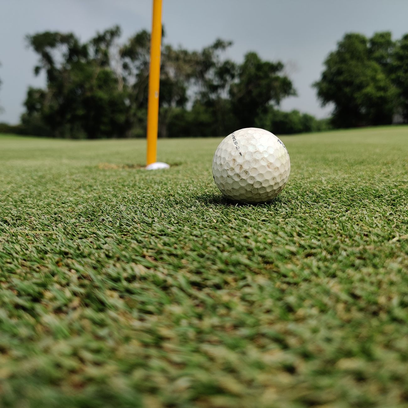 Financial Management in Golf Course Operations