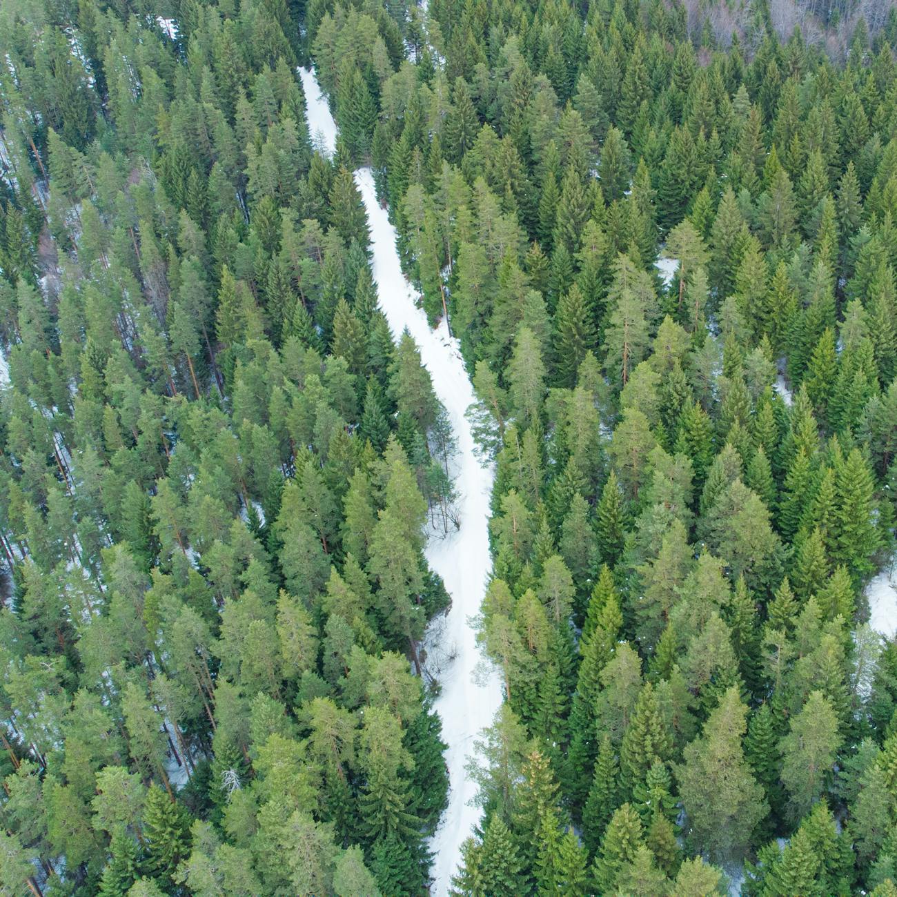 Remote Sensing Technologies for Climate Change Monitoring