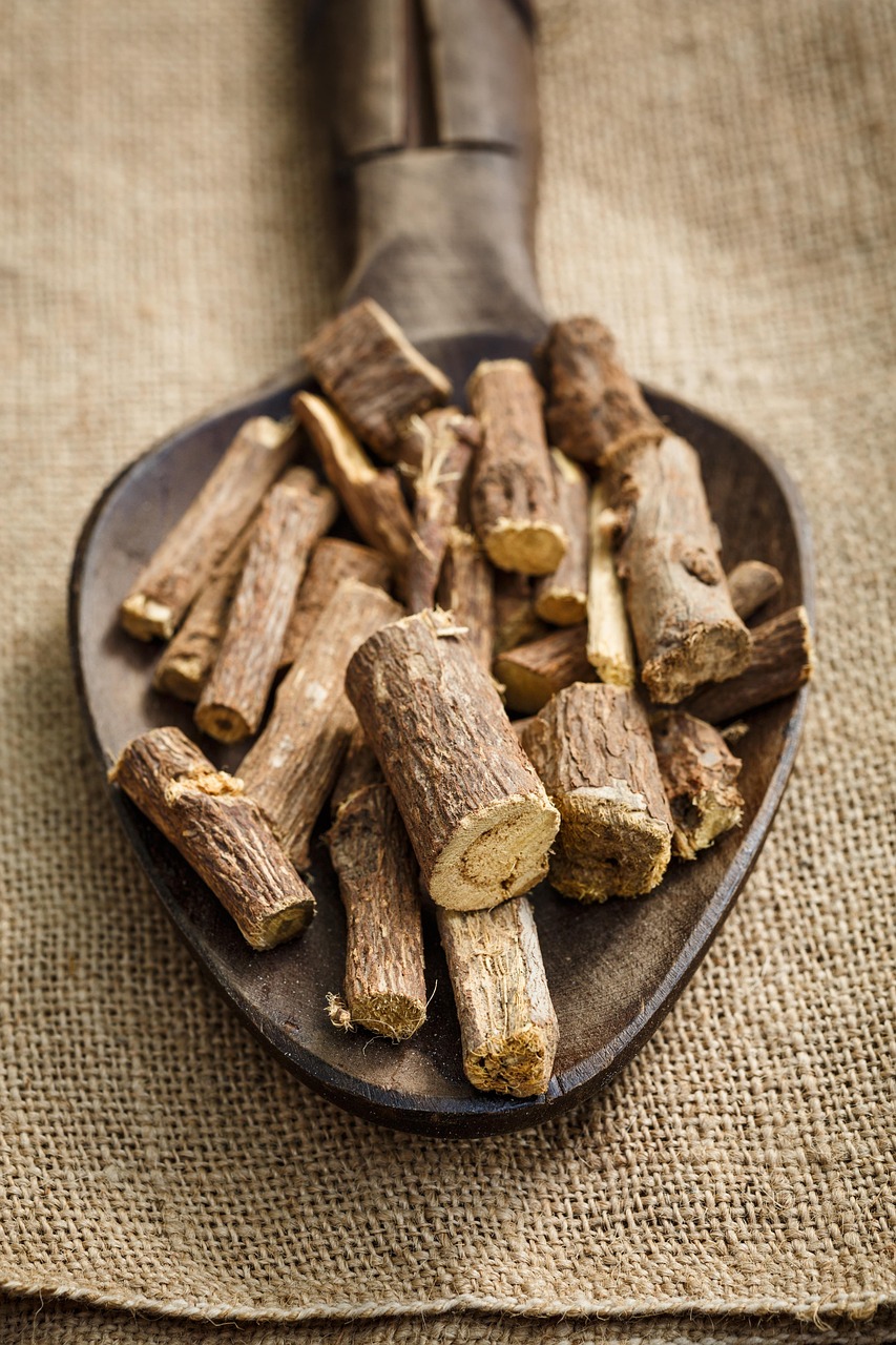 Herbal Remedies for Infectious Diseases in Rabbits
