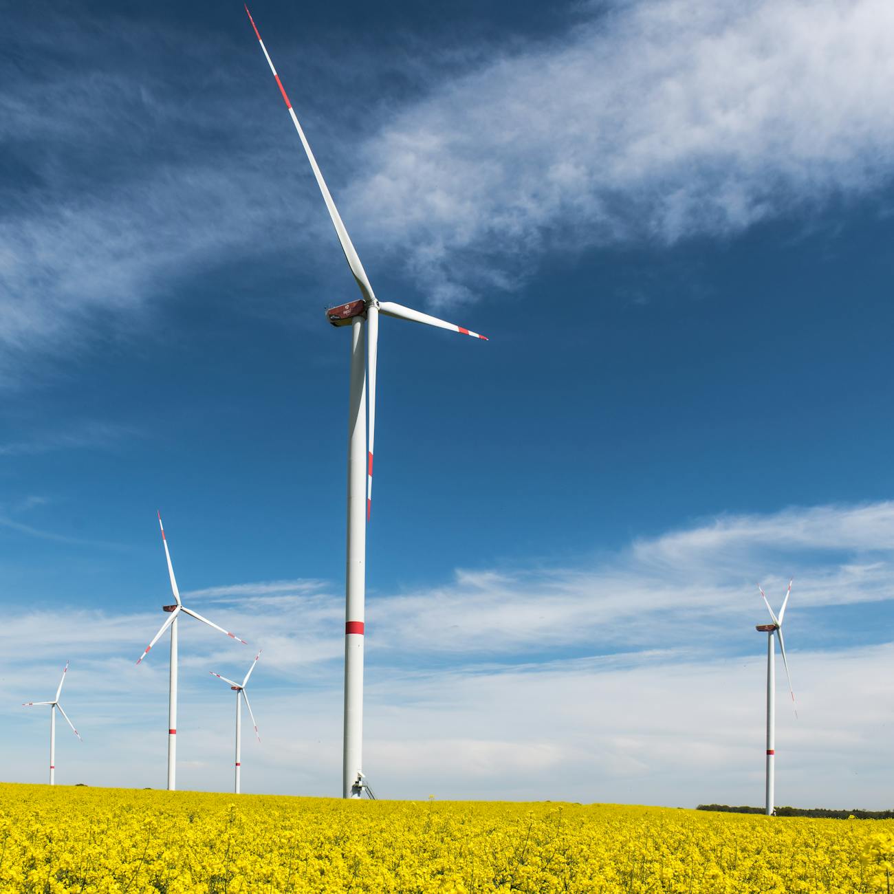 Introduction to Artificial Intelligence in Renewable Energy